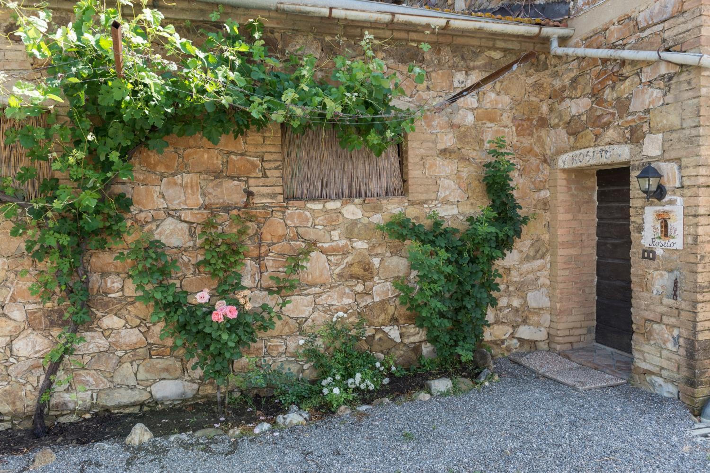 Wine Resort Colsereno