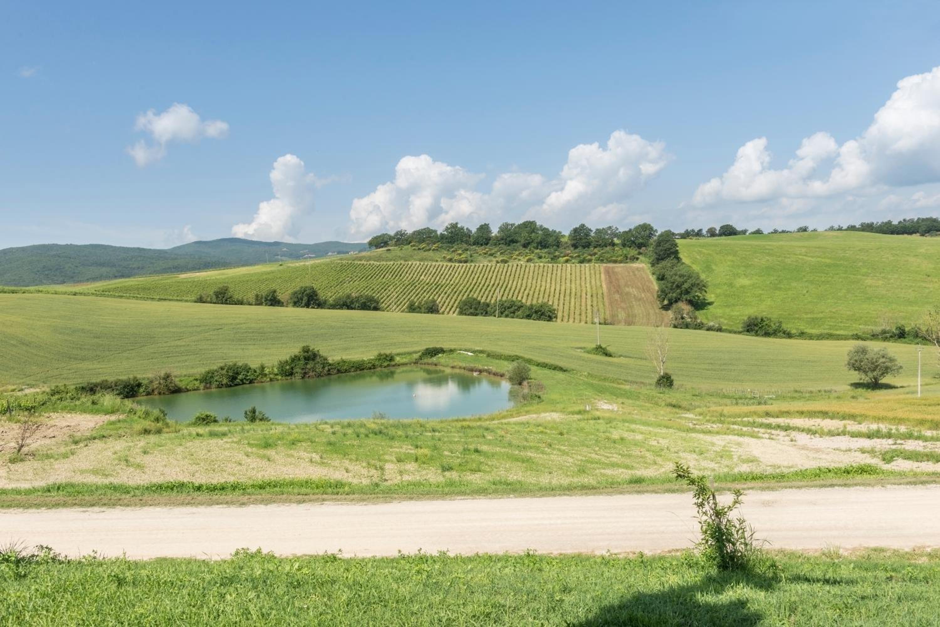 Wine Resort Colsereno