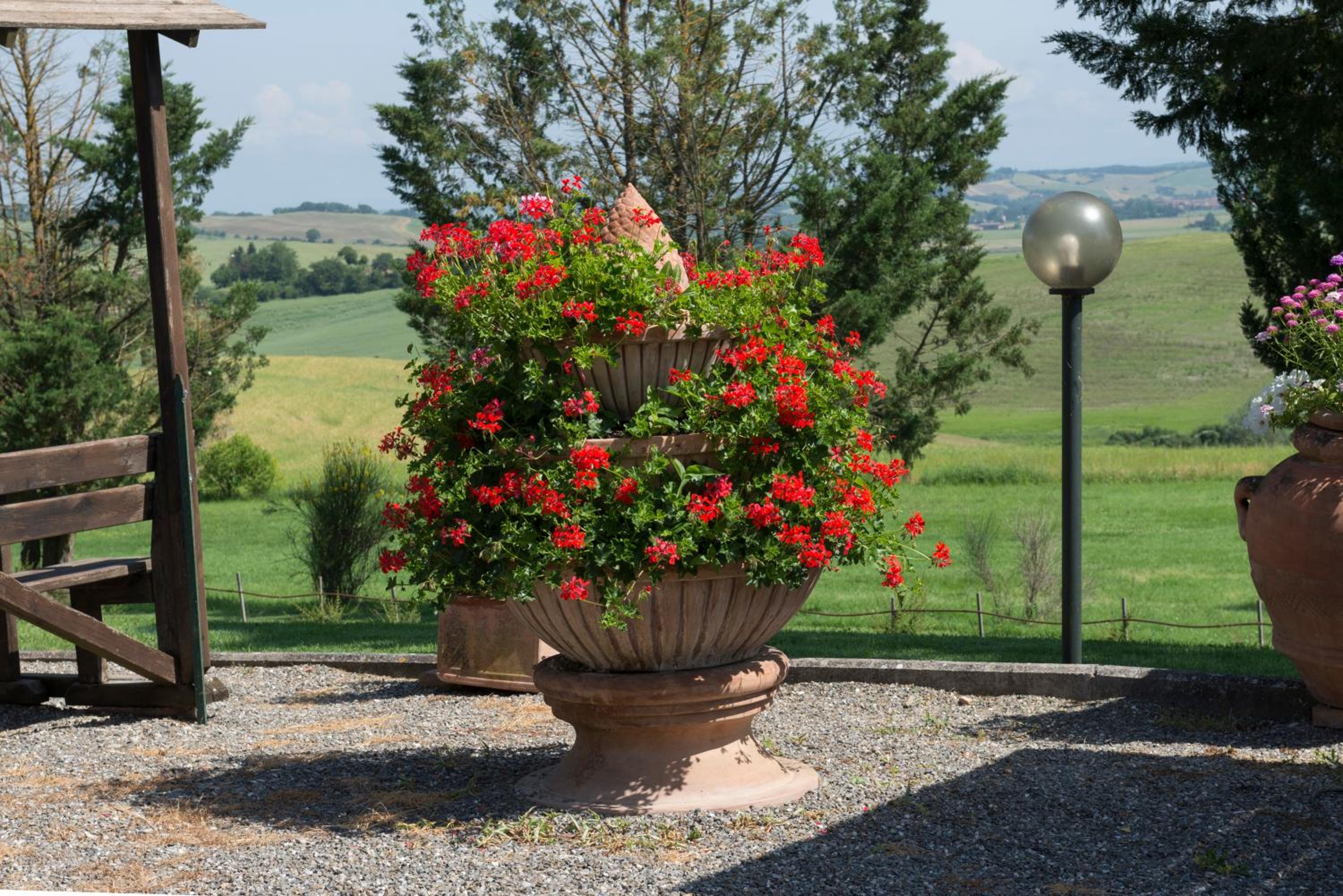 Wine Resort Colsereno