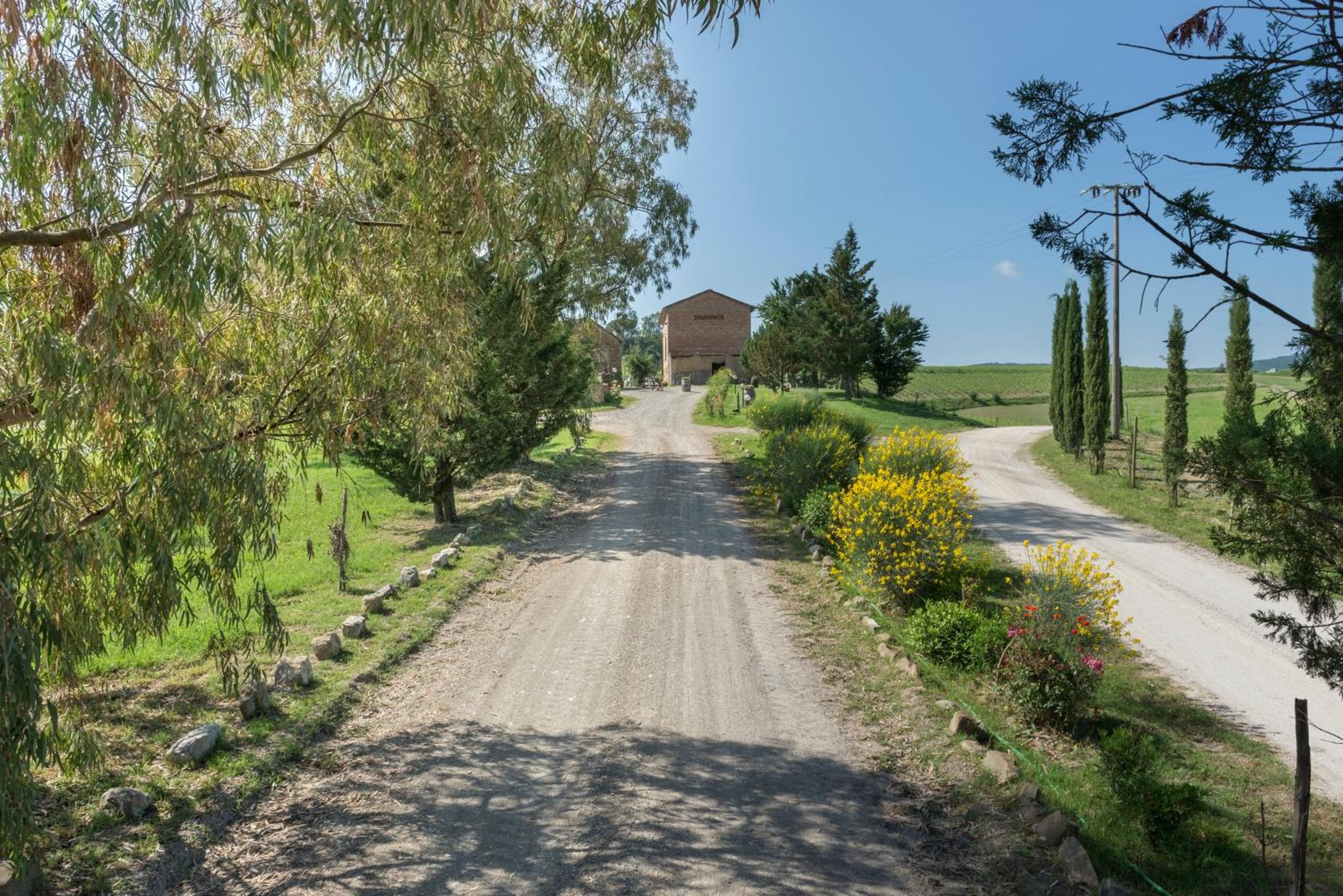 Wine Resort Colsereno