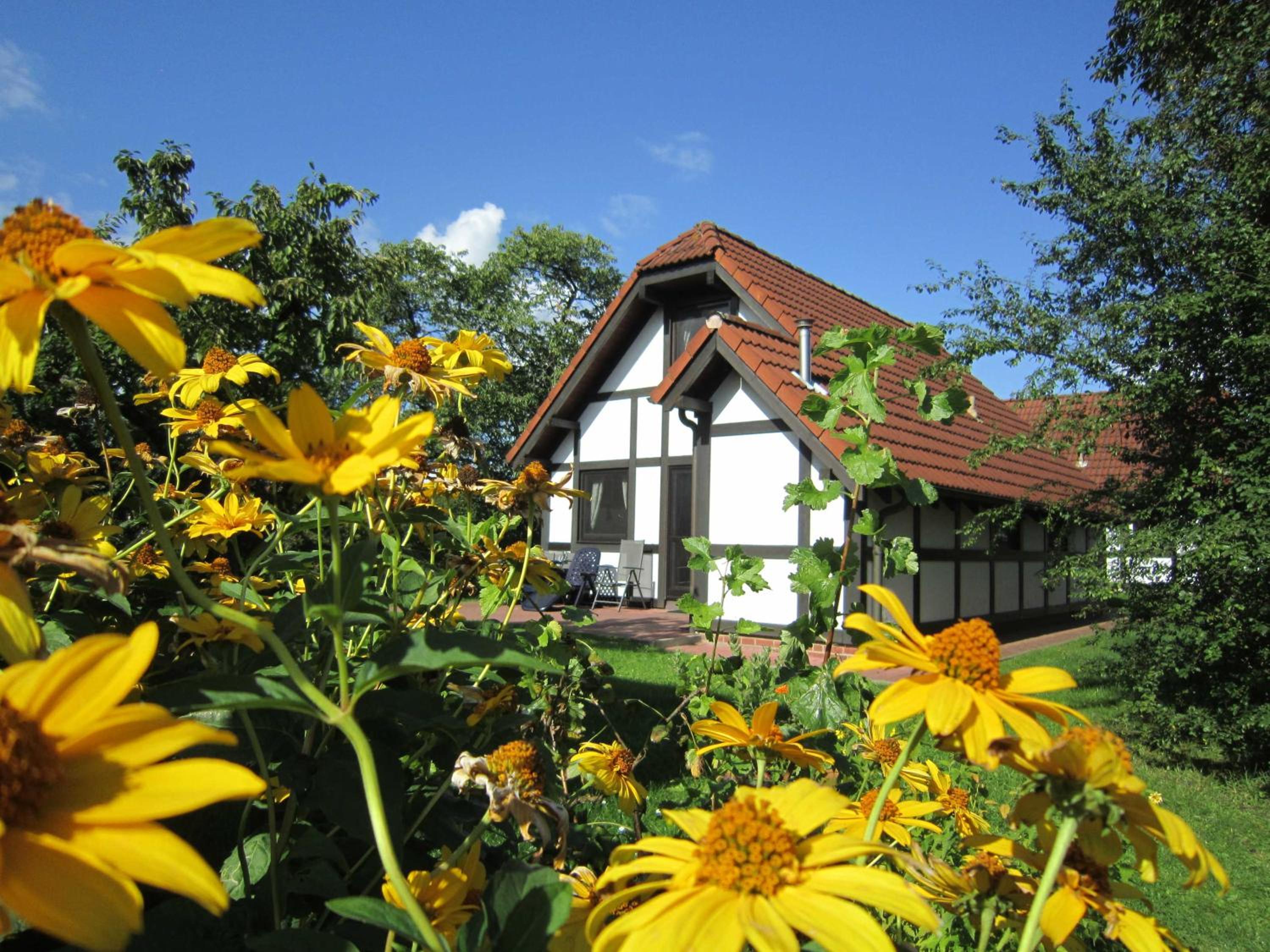 Ferienhaus Deichgraf 86 im Feriend
