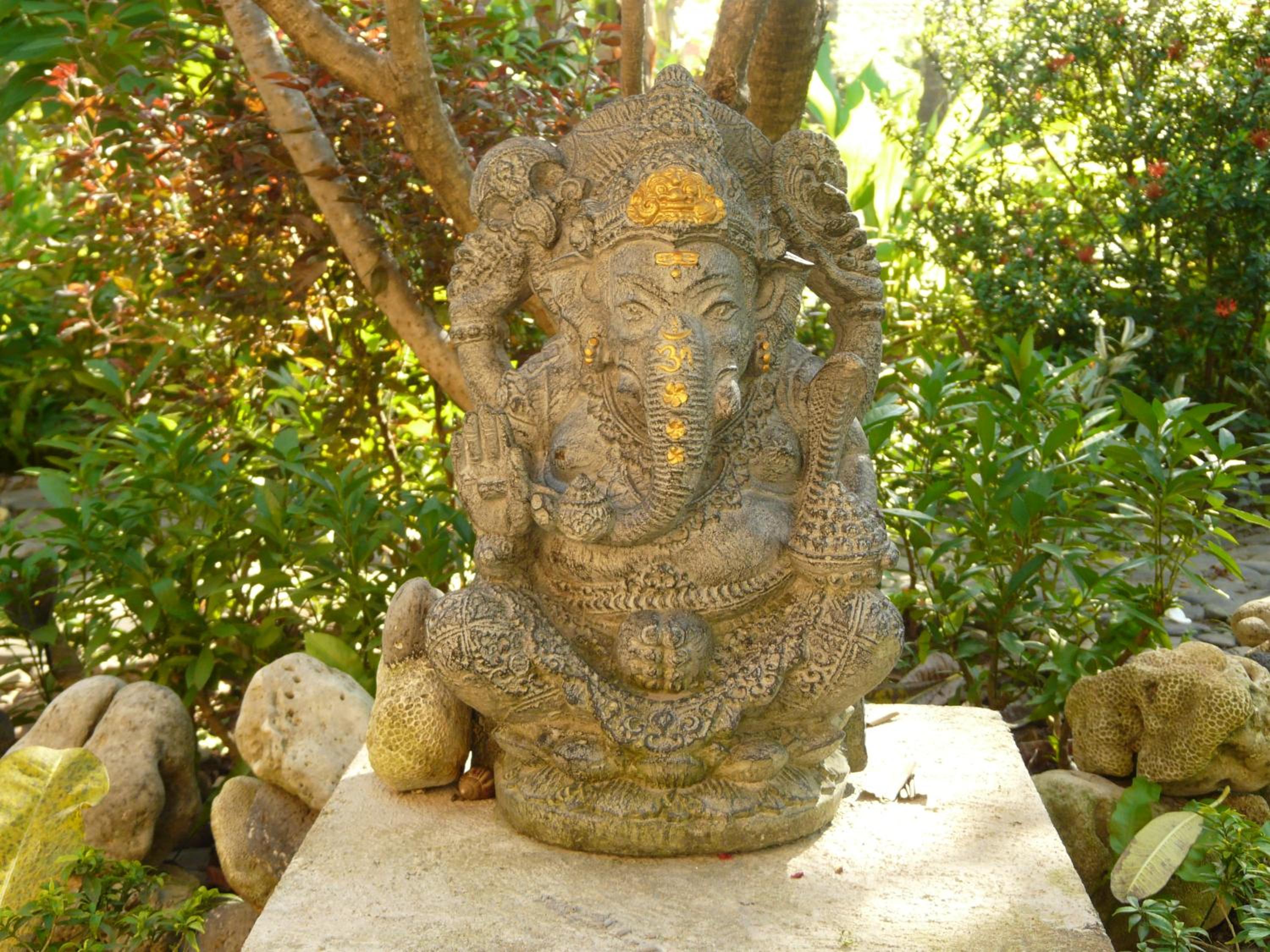 Photo 12