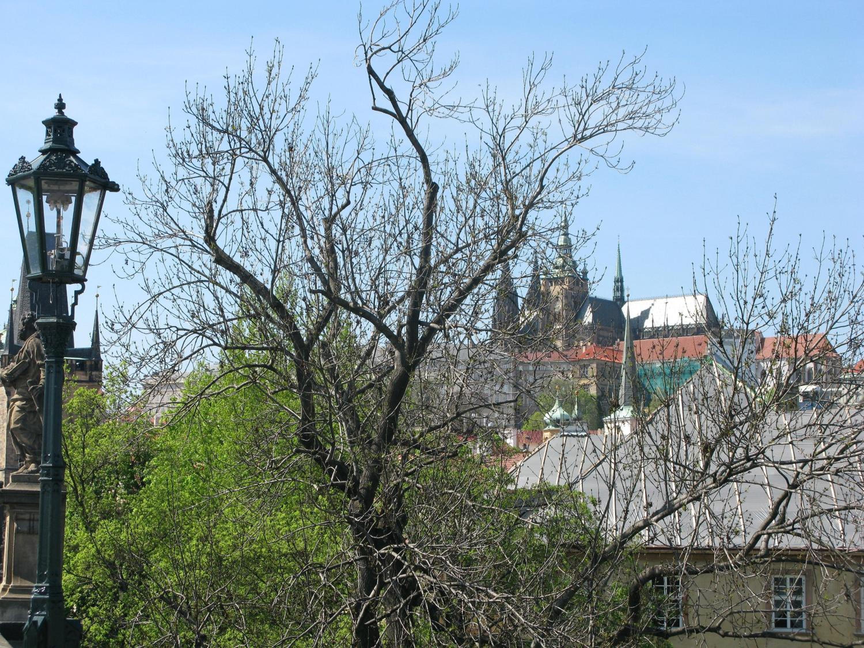 Prague Historic Center Apartments
