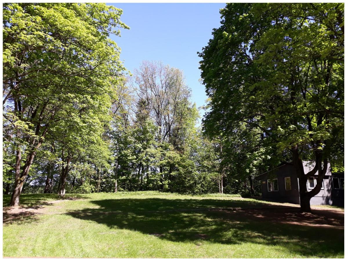 children's play area