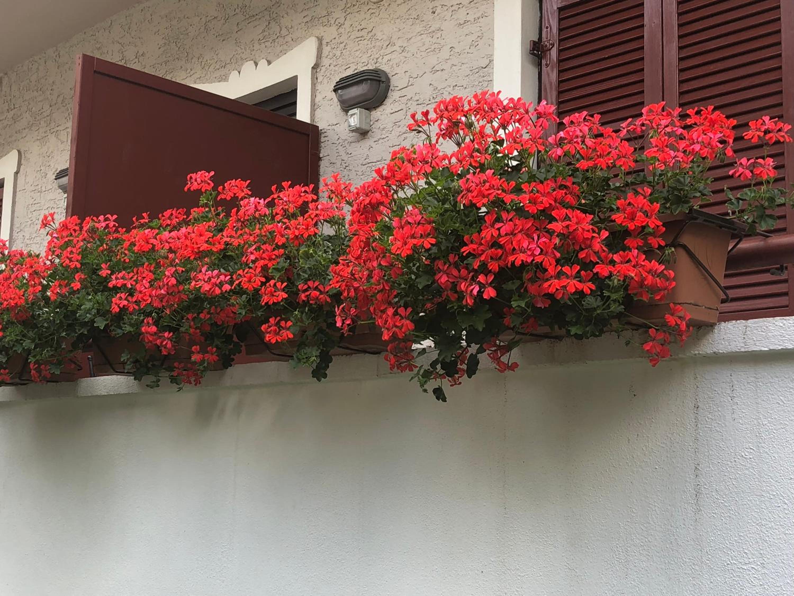 Garni Villa Betty