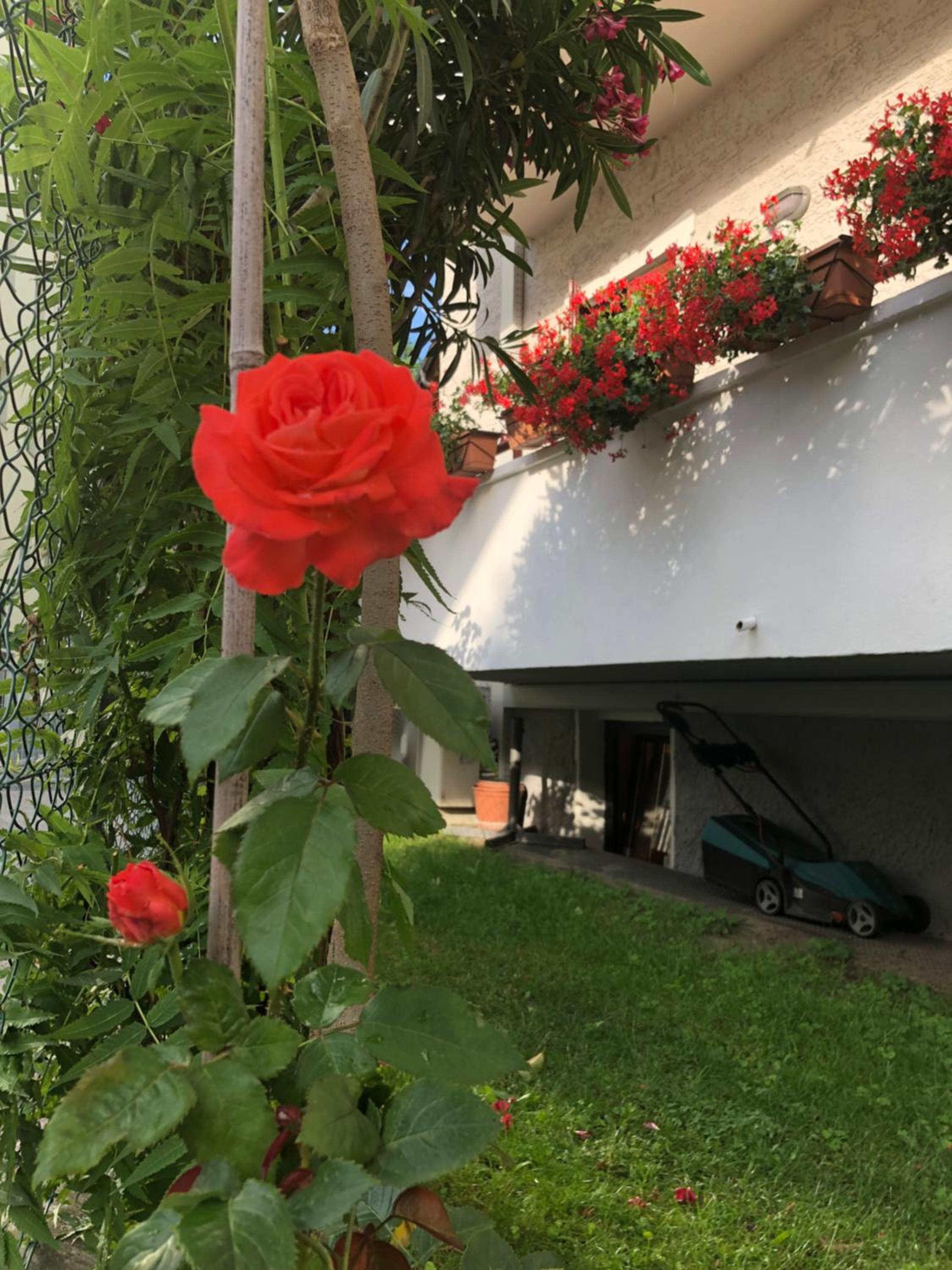 Garni Villa Betty