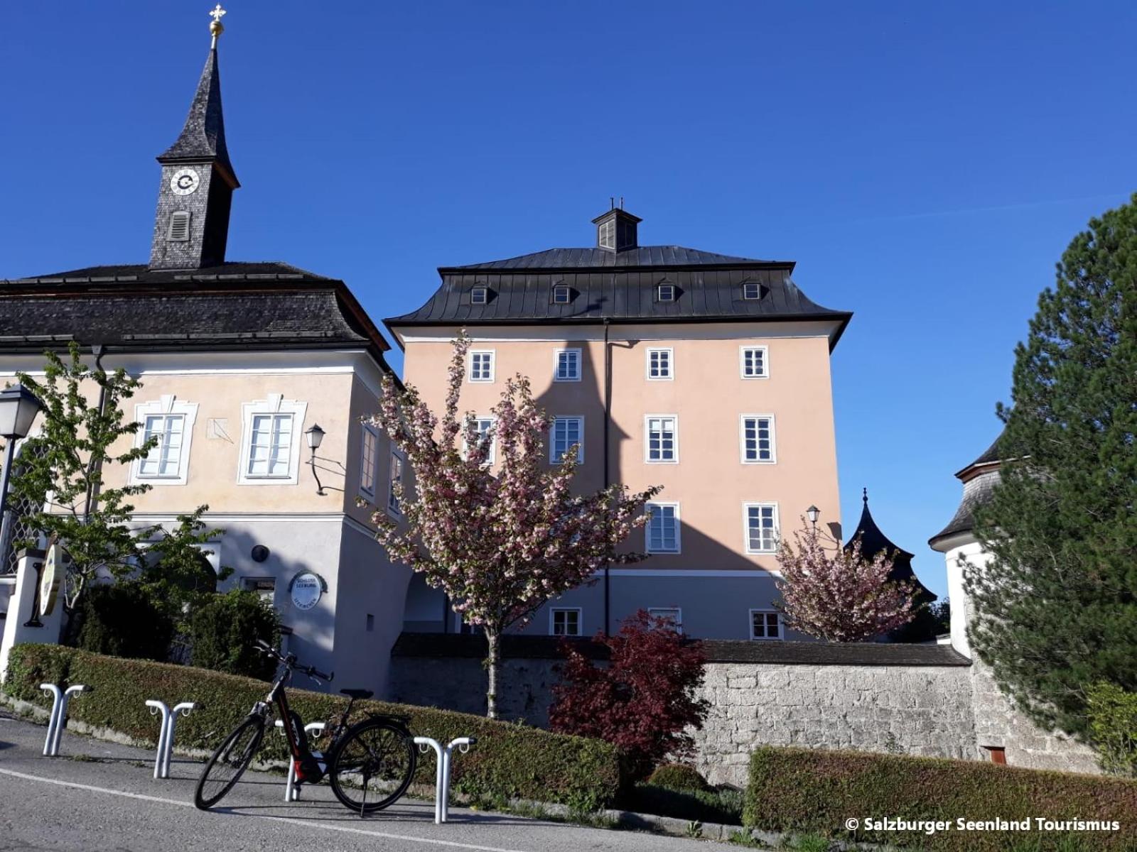 Photo 22