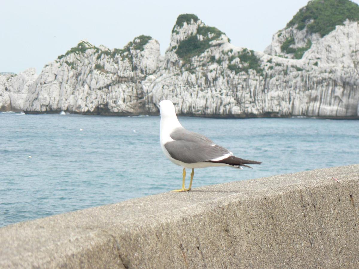 Photo 36