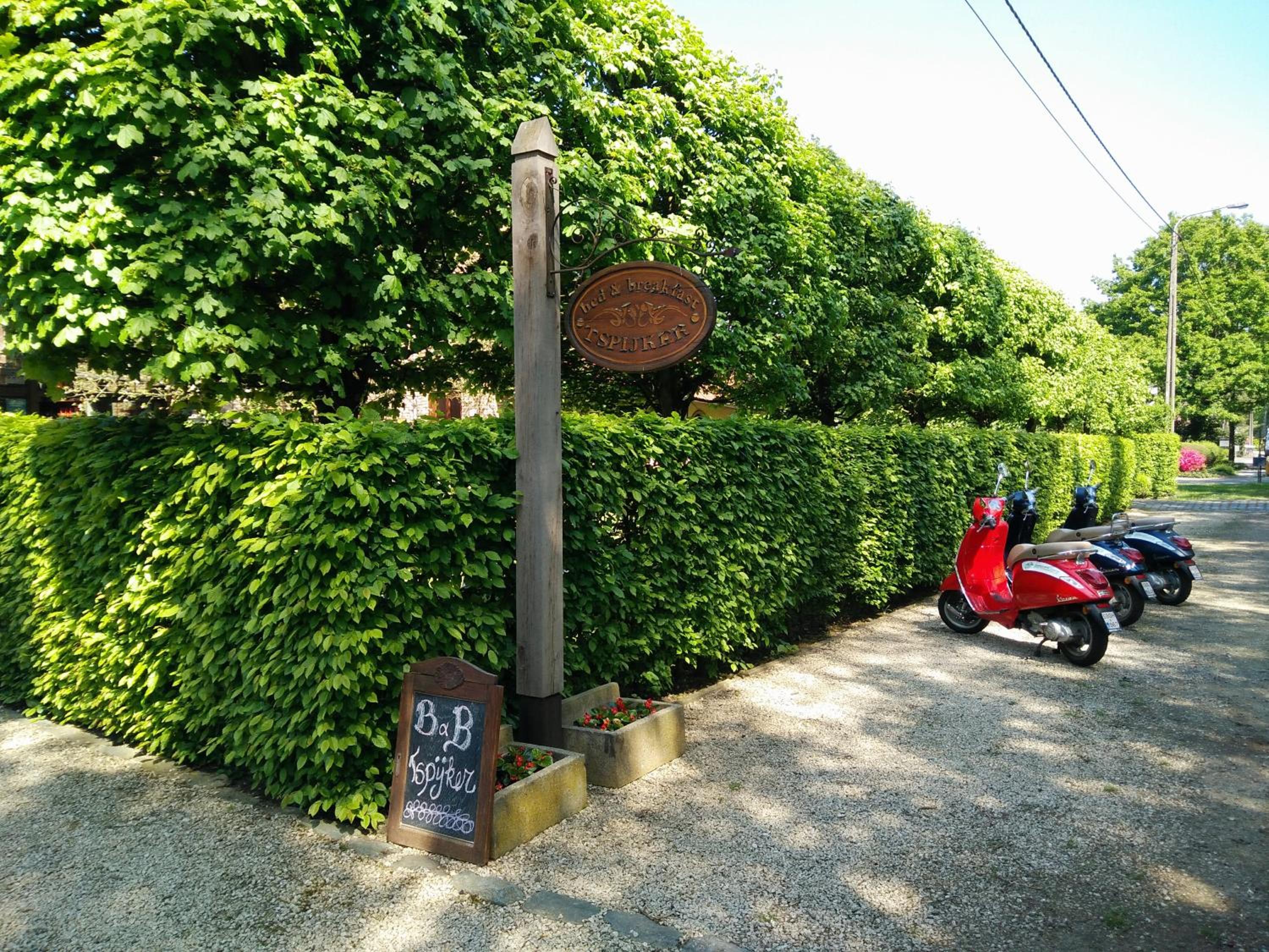 B&B Tspijker