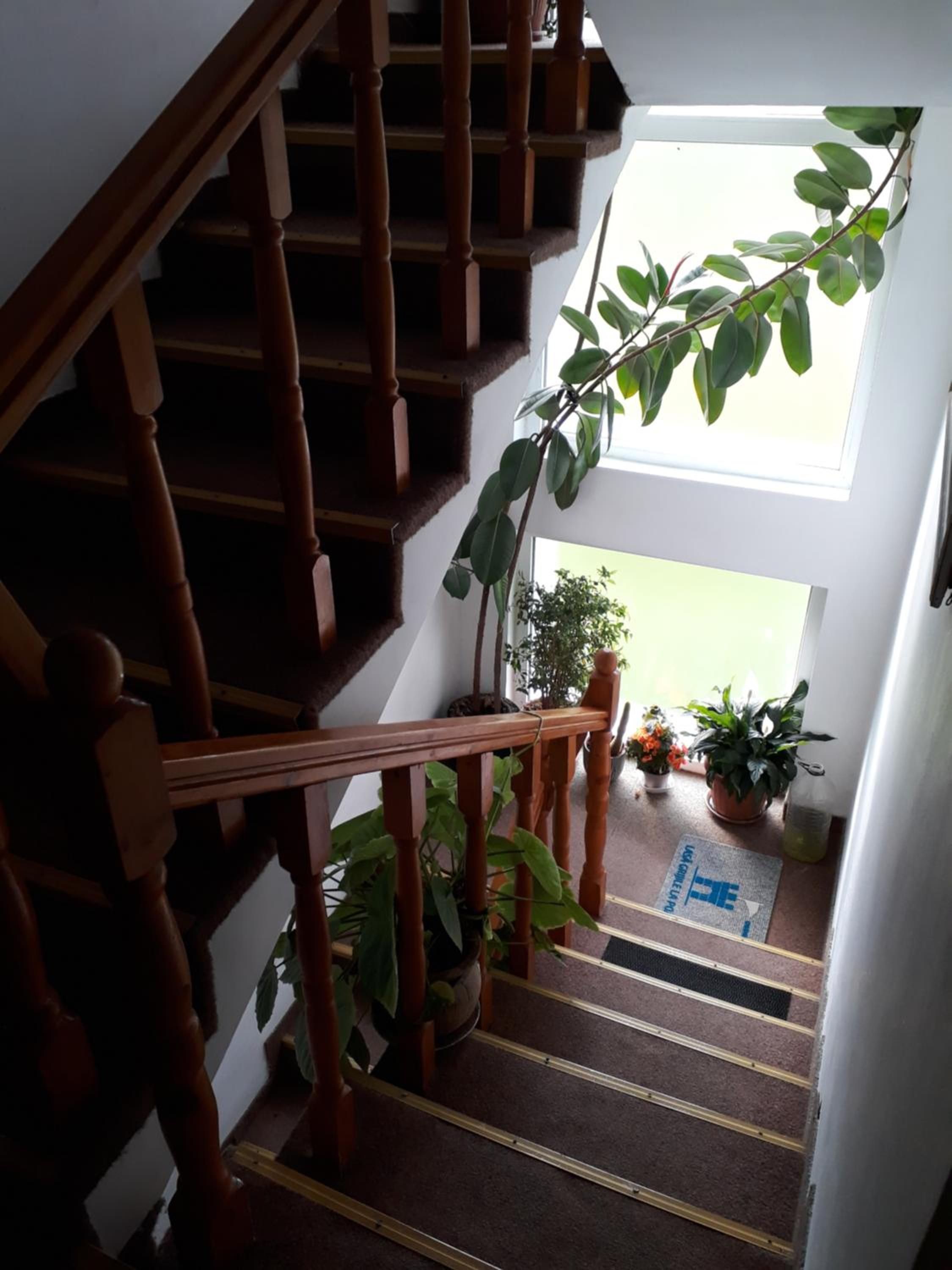 Photo 33