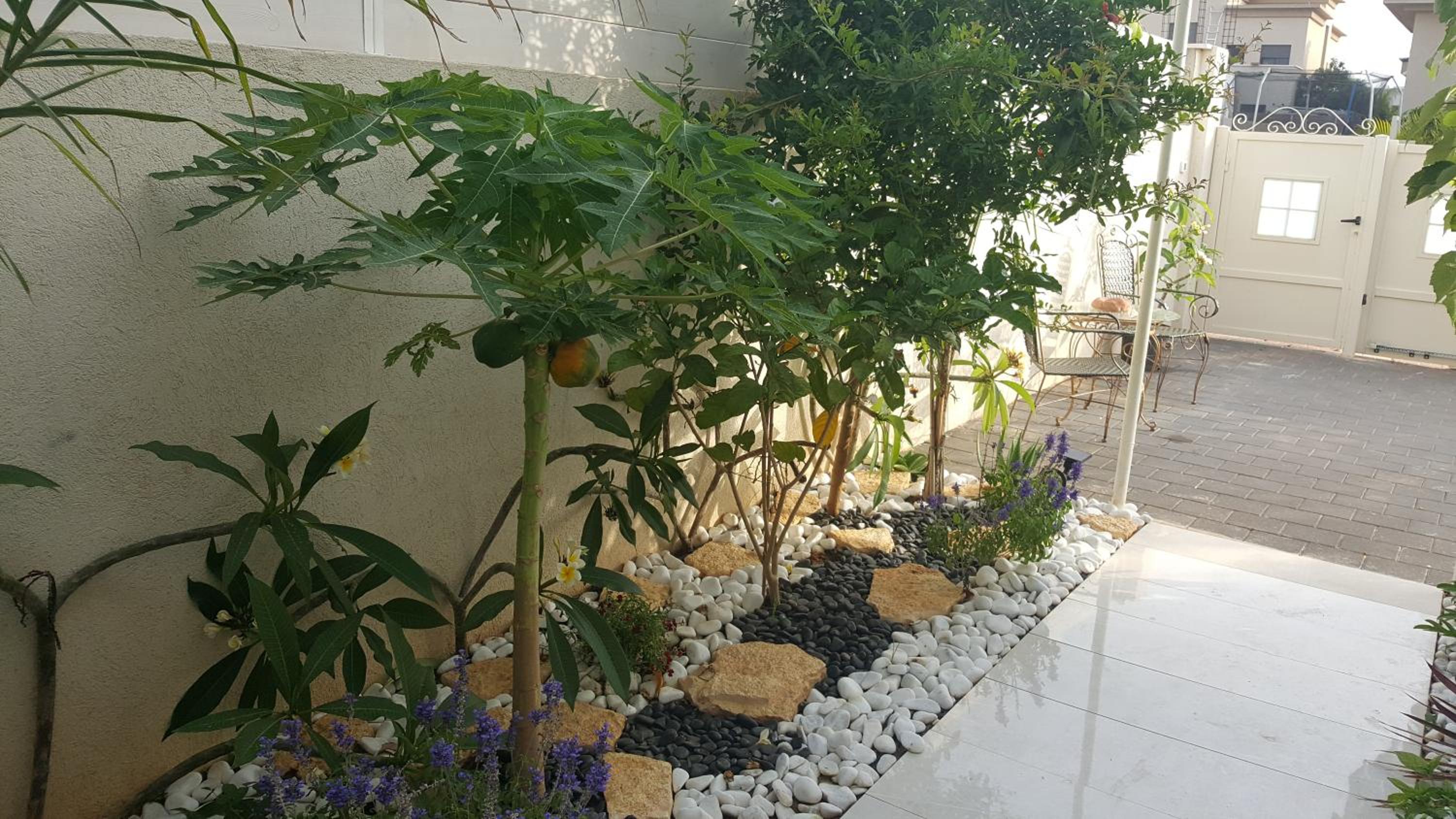 Regina's place