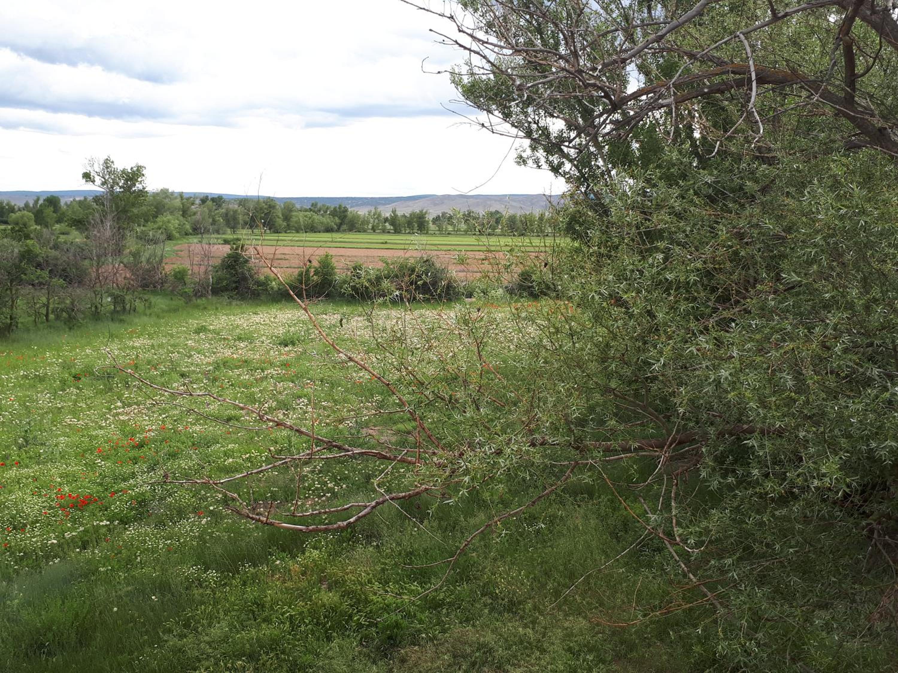 Photo 40