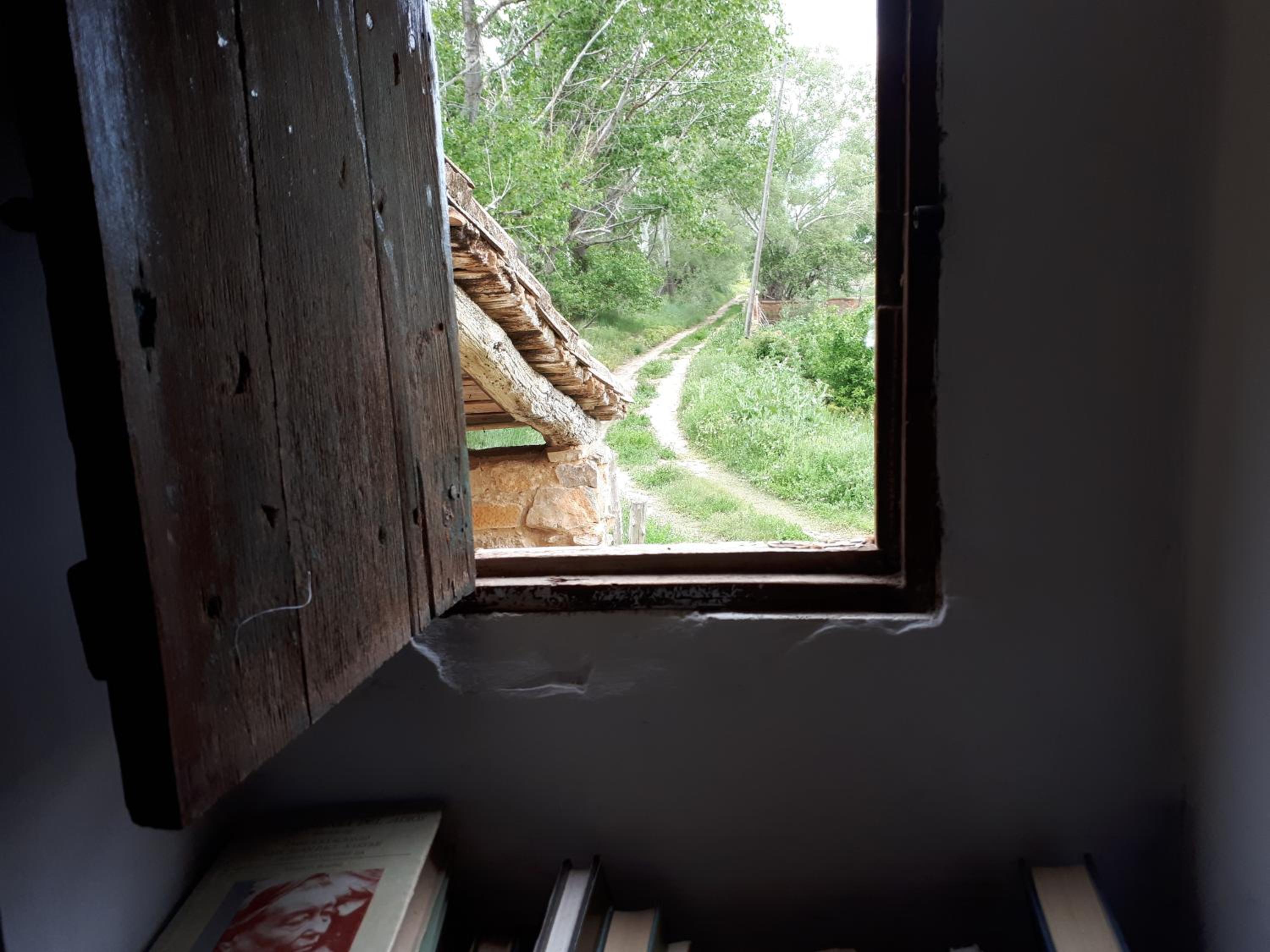 Photo 41