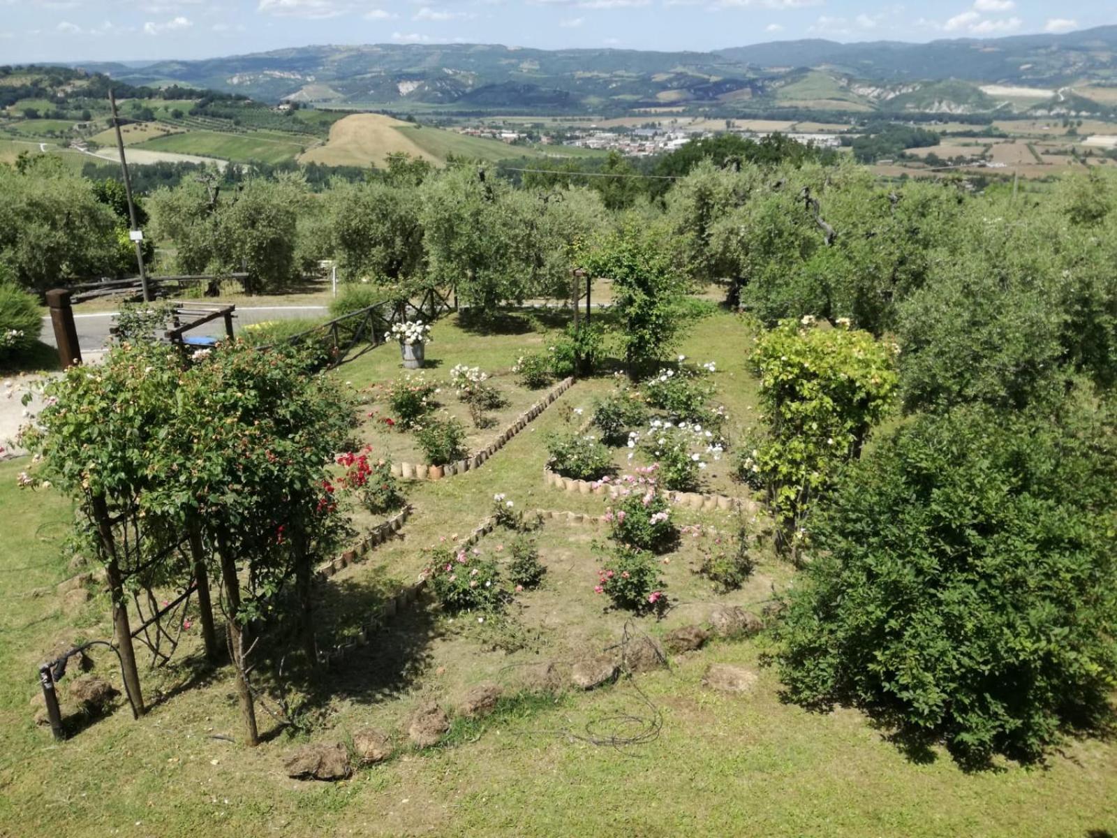 Orvieto Rocca Fiorita
