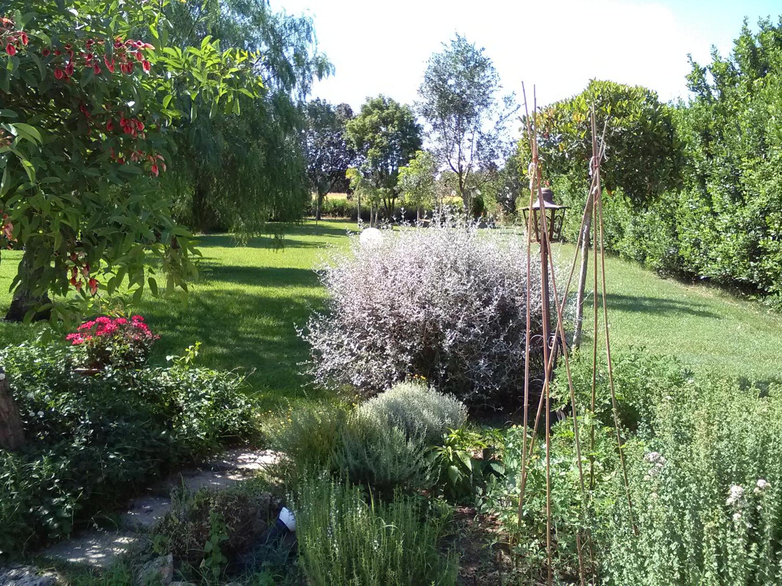 Photo 35