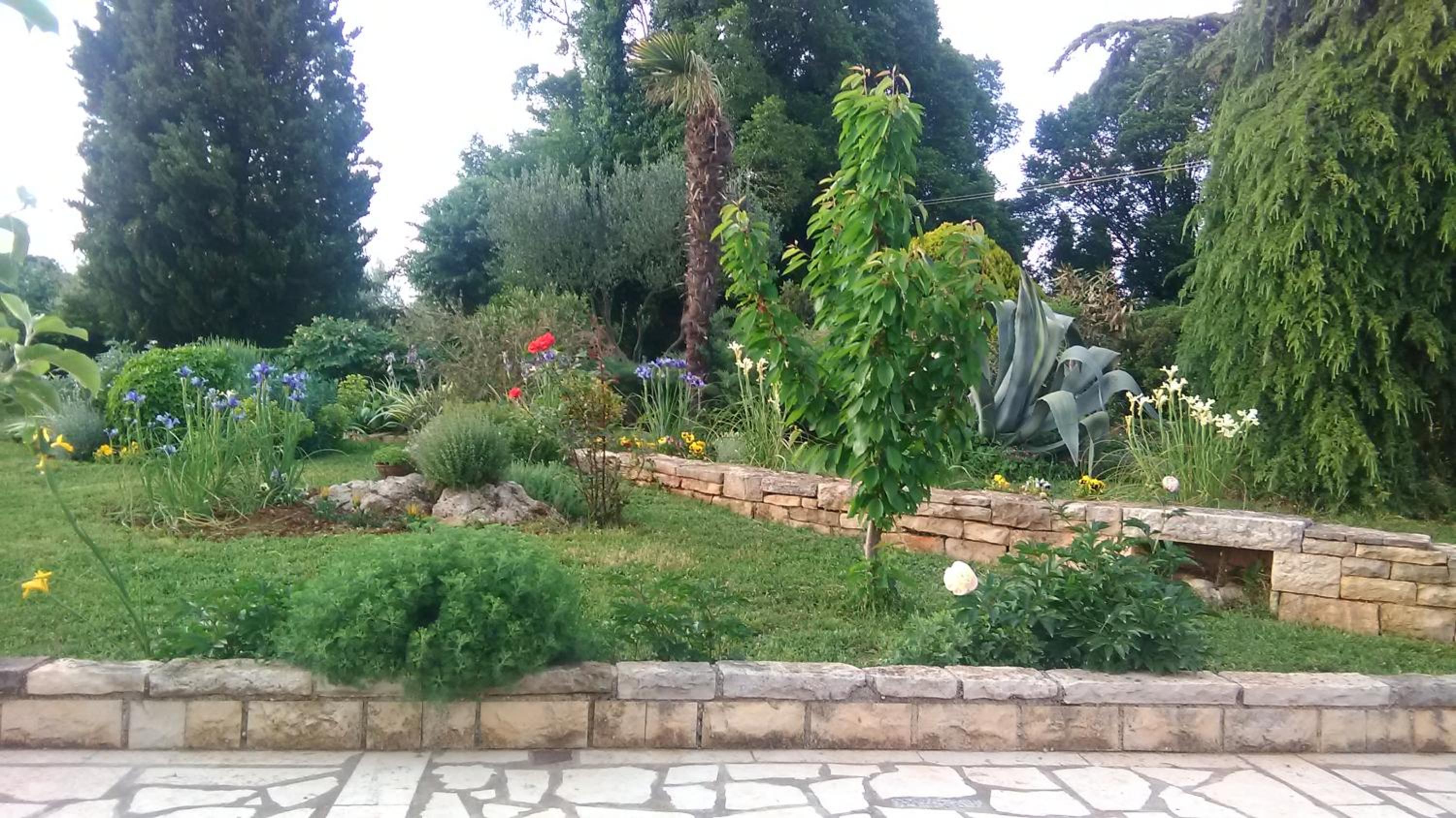 Garden view 2