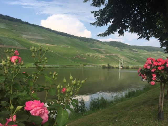 Ferienwohnung Mosel