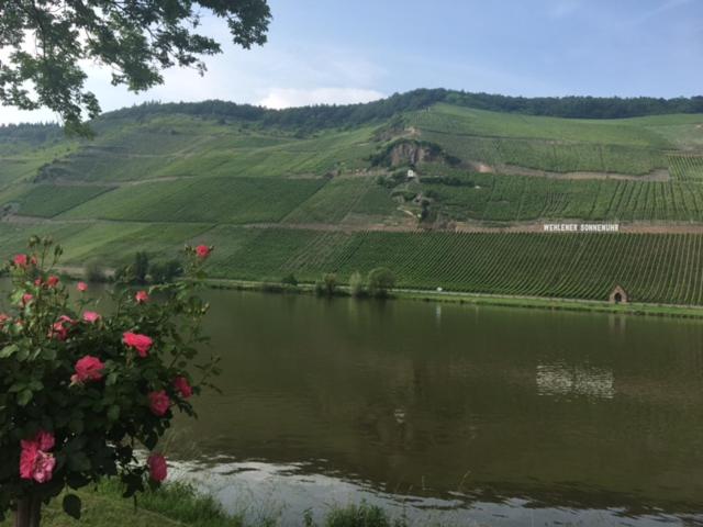 Ferienwohnung Mosel