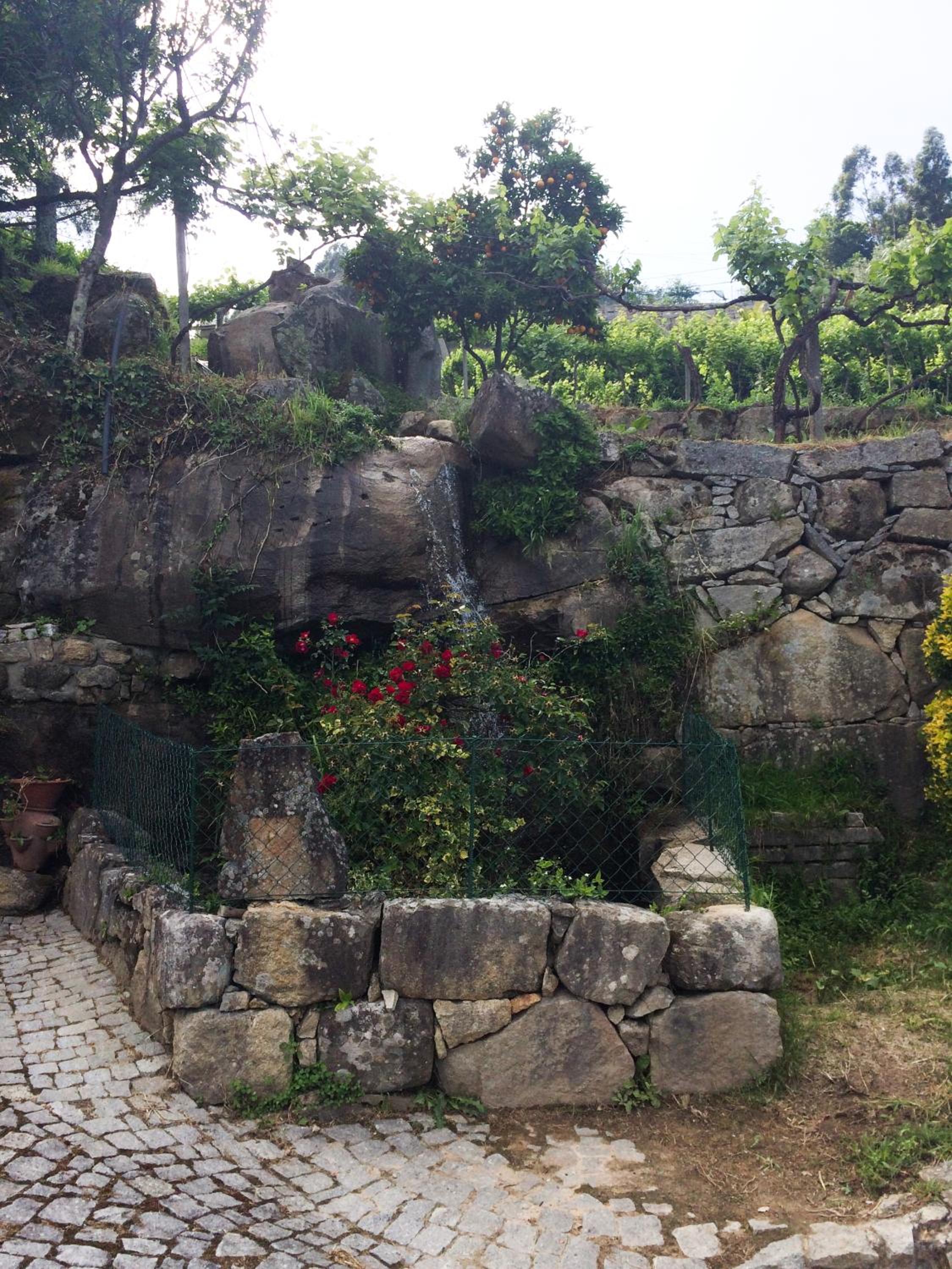 Quinta de Catapeixe Douro River view 4