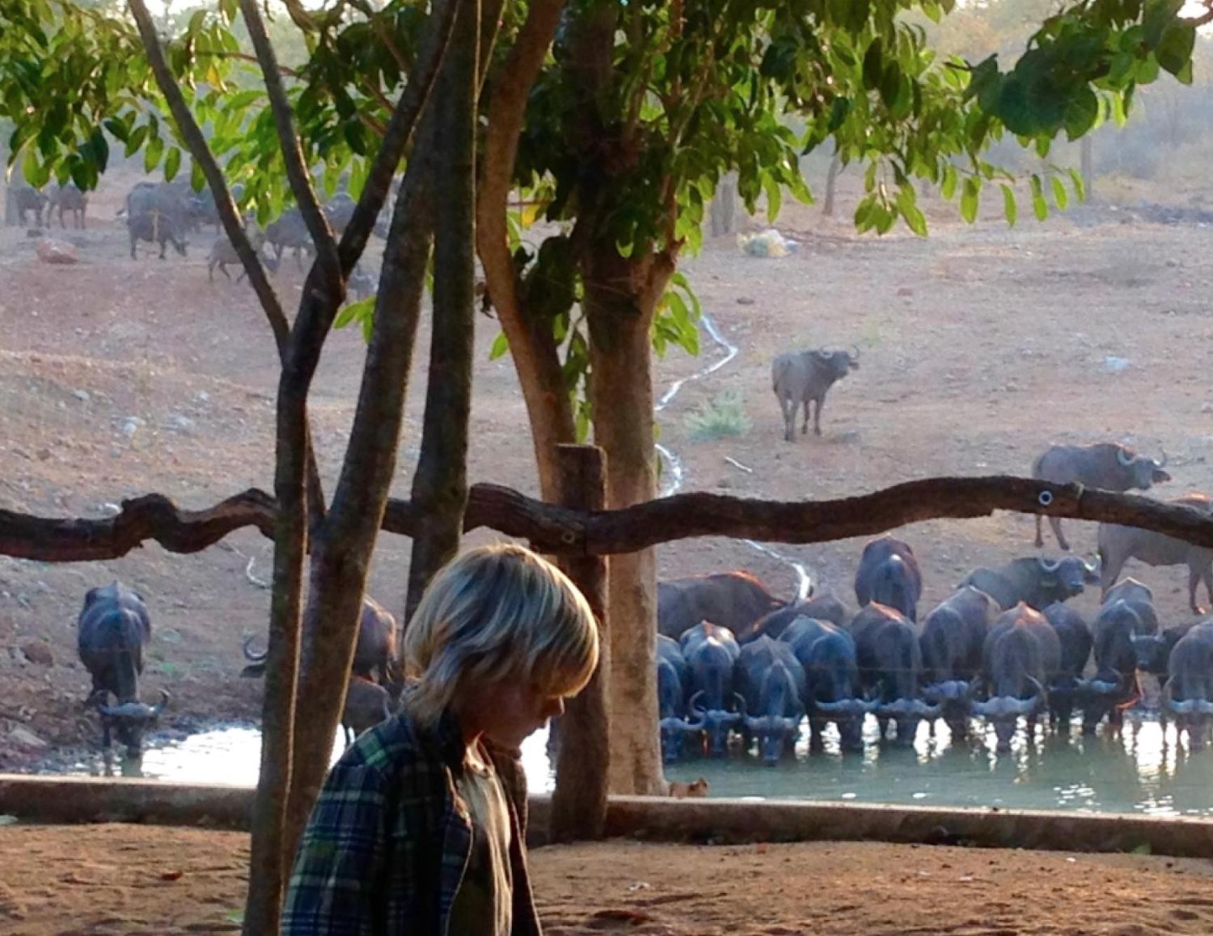 Lamai Safari Lodge view 2