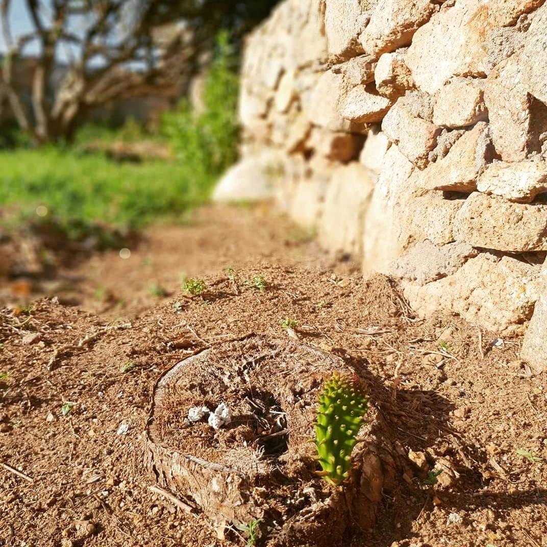 Villa Sprafundu - Property Image 49