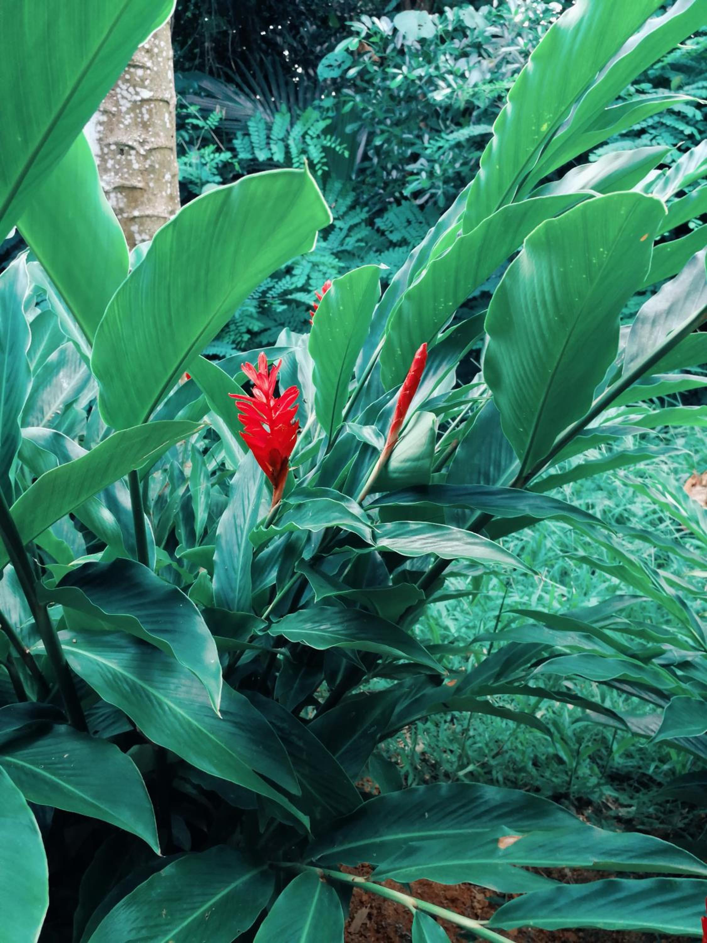 Photo 58