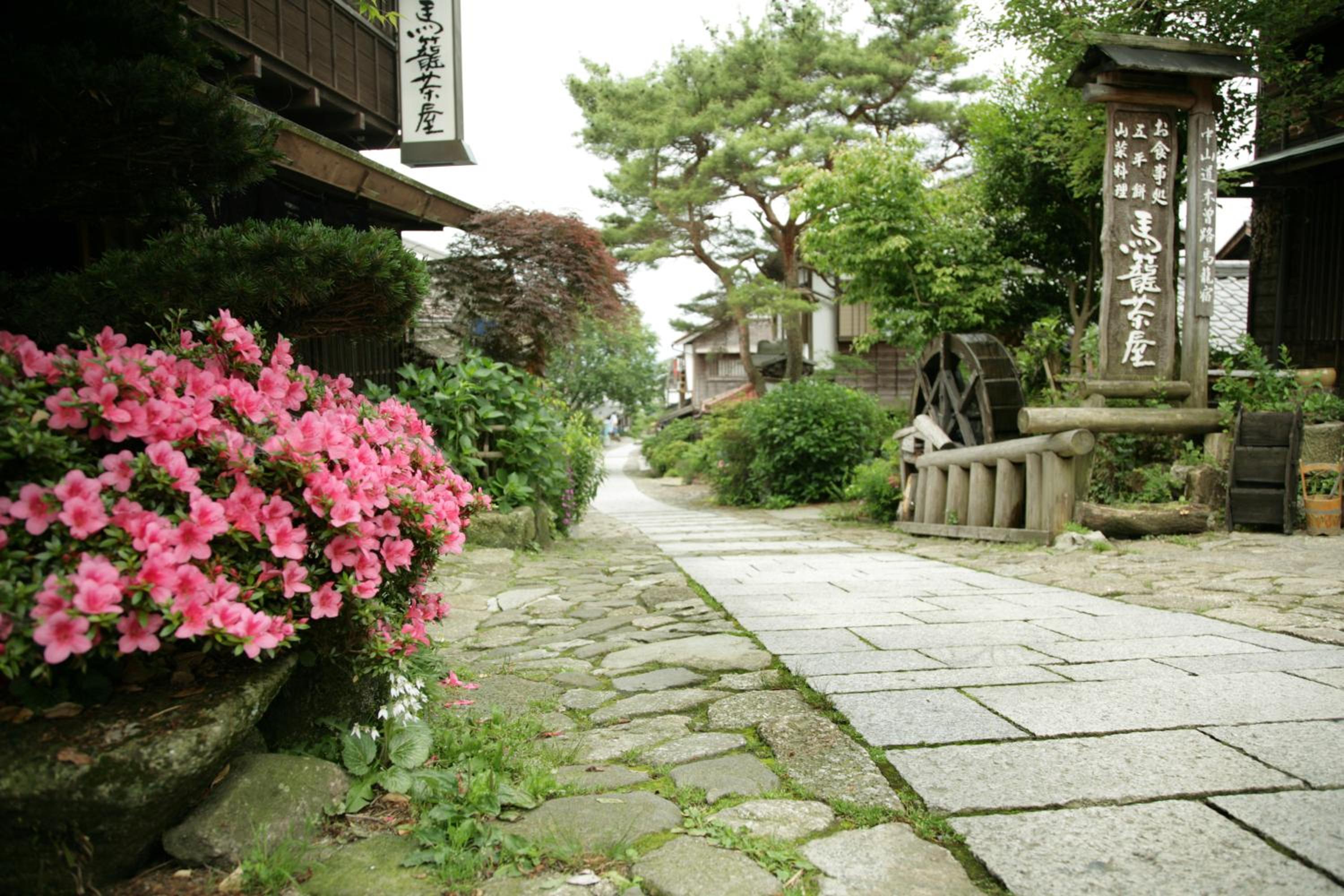 Photo 31