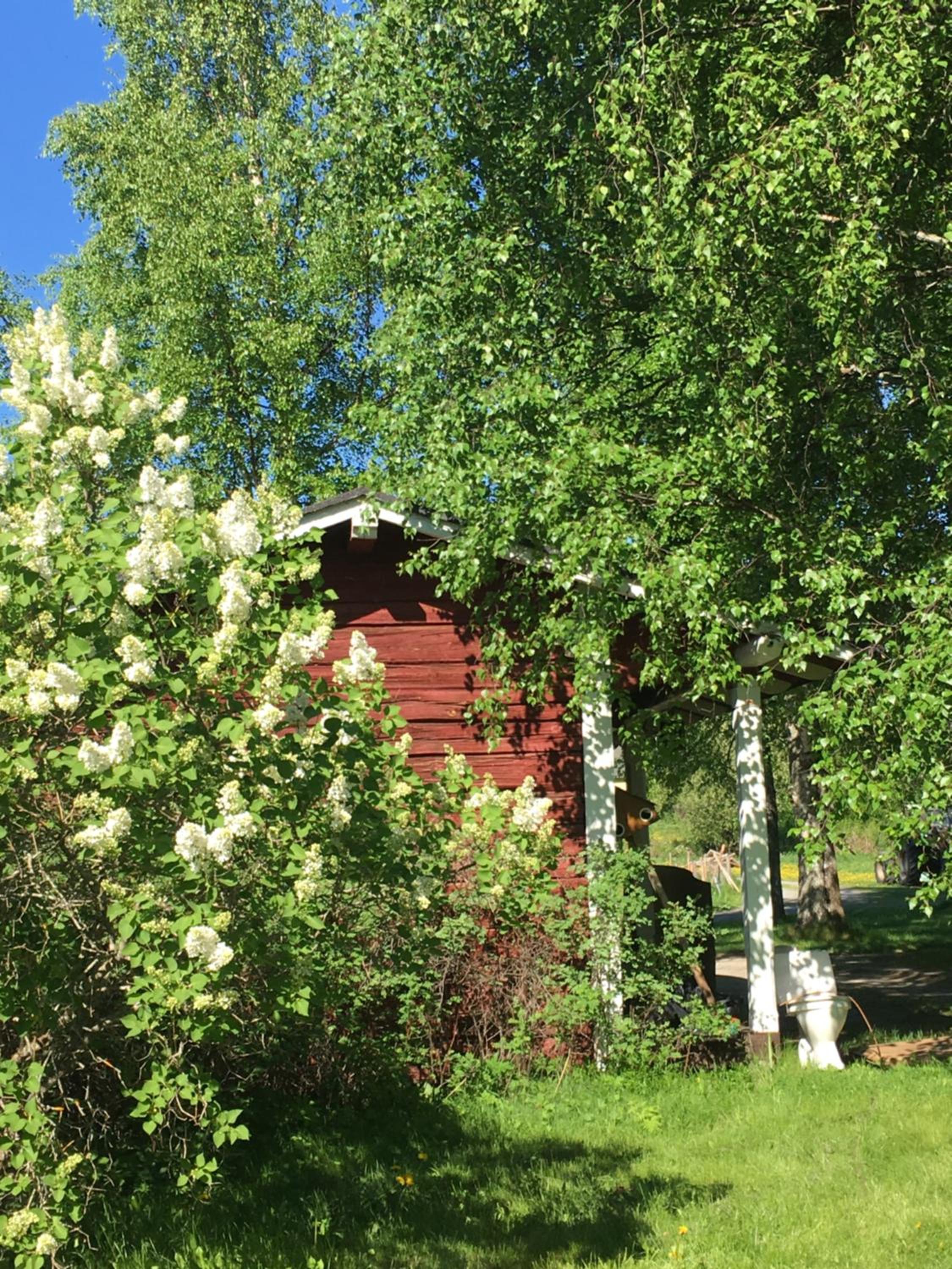 Photo 16