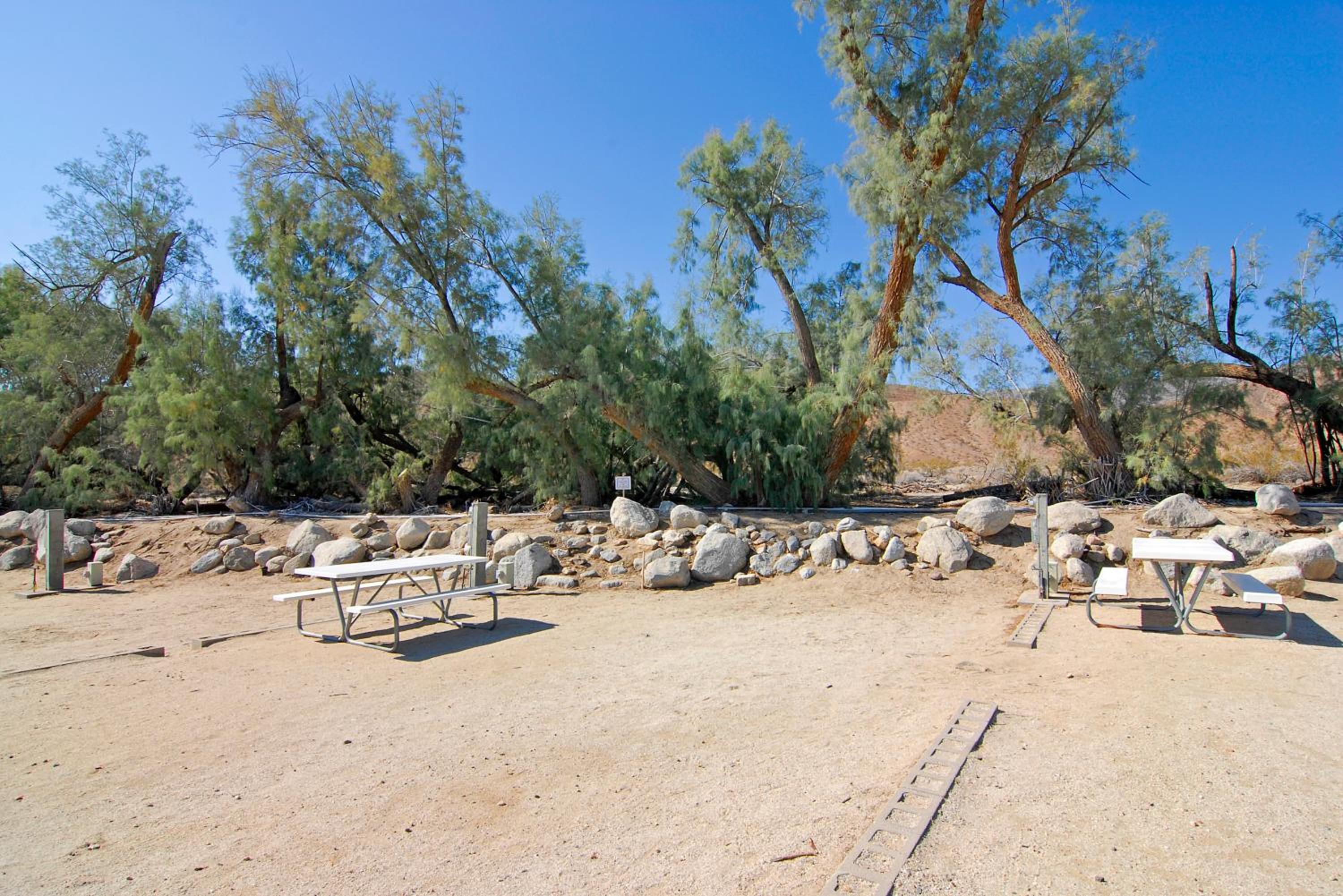 Palm Canyon Hotel and RV Resort, Billede 19
