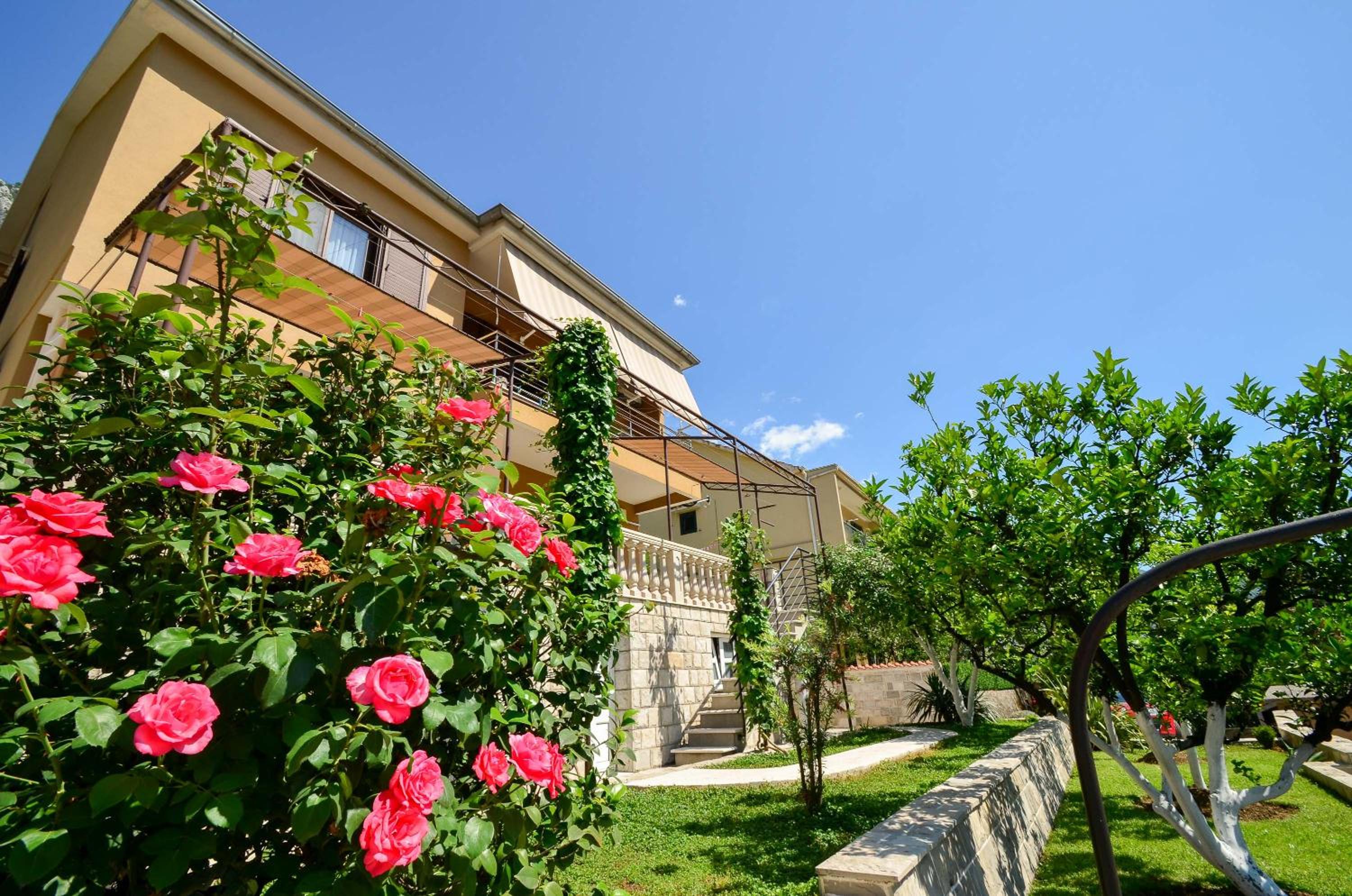 Apartmani Ćetković view 2