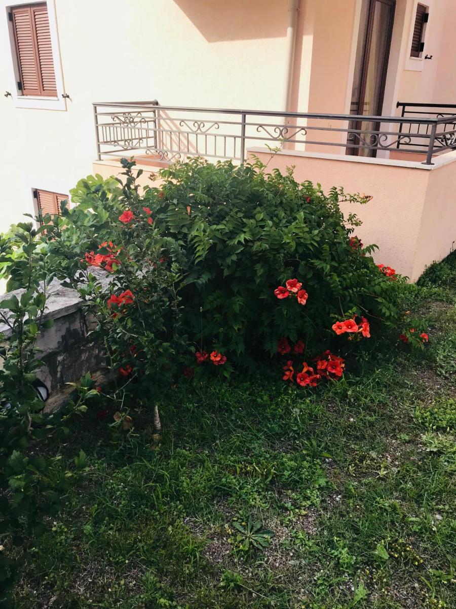 Photo 107