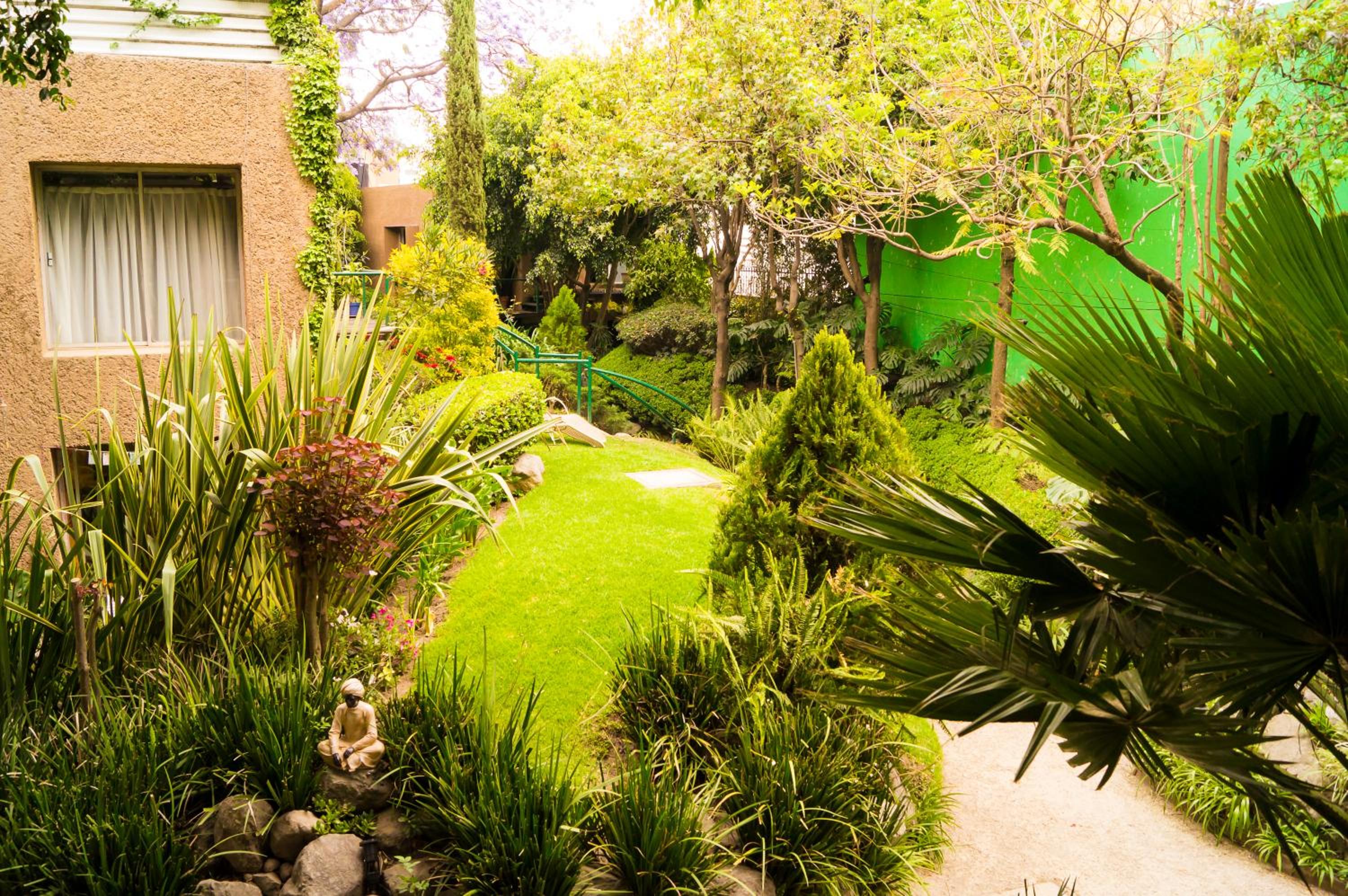 Suite 1C, Balcon, Garden House, Welcome to San Angel photo 3