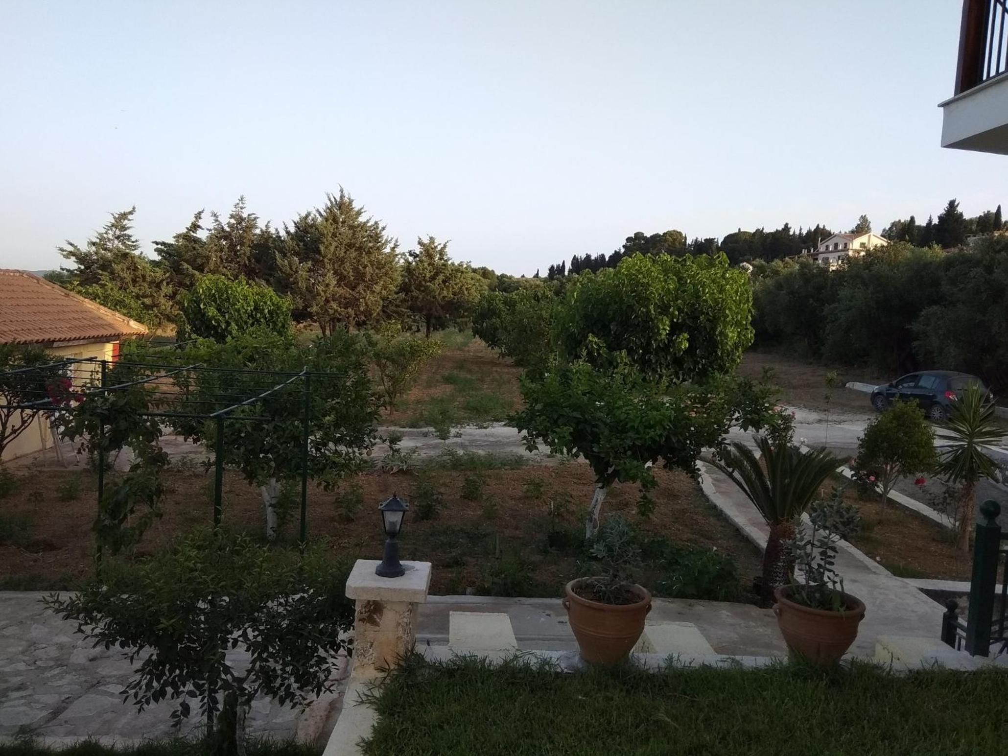 Photo 51