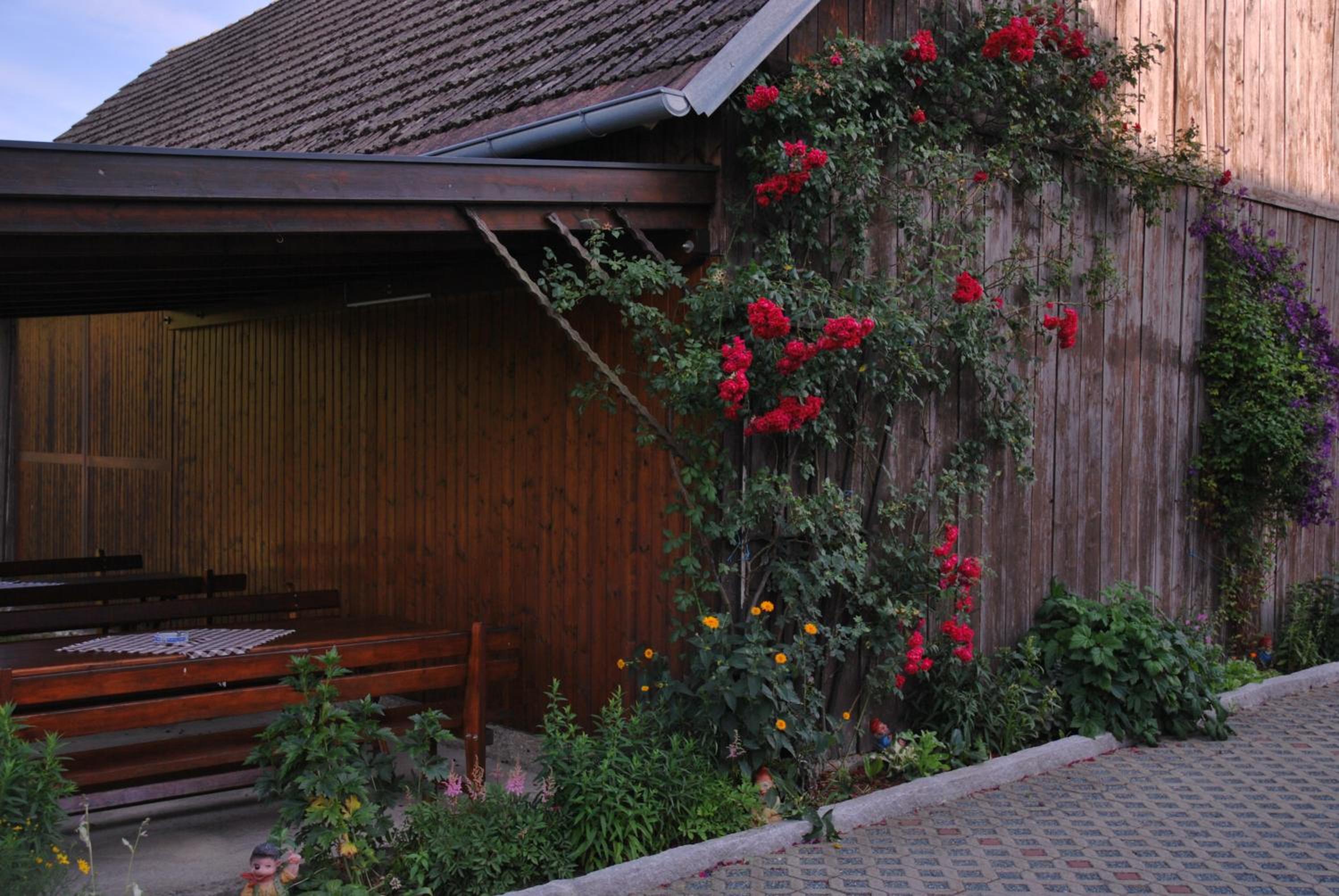 Gasthof Hotel Lang