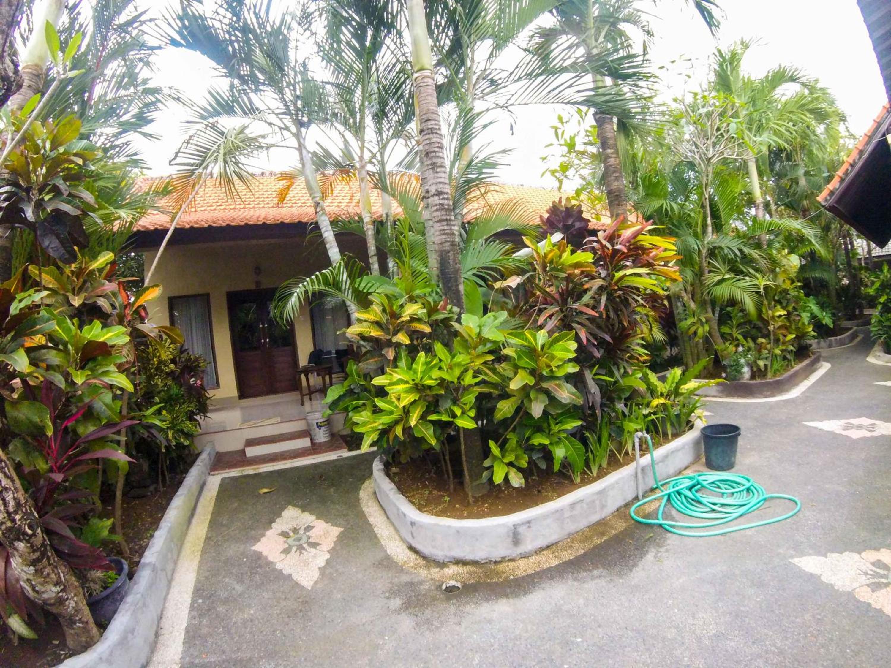 Putu Guest House view 5
