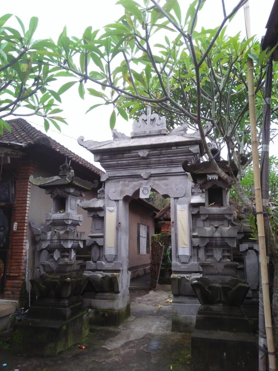 Photo 49