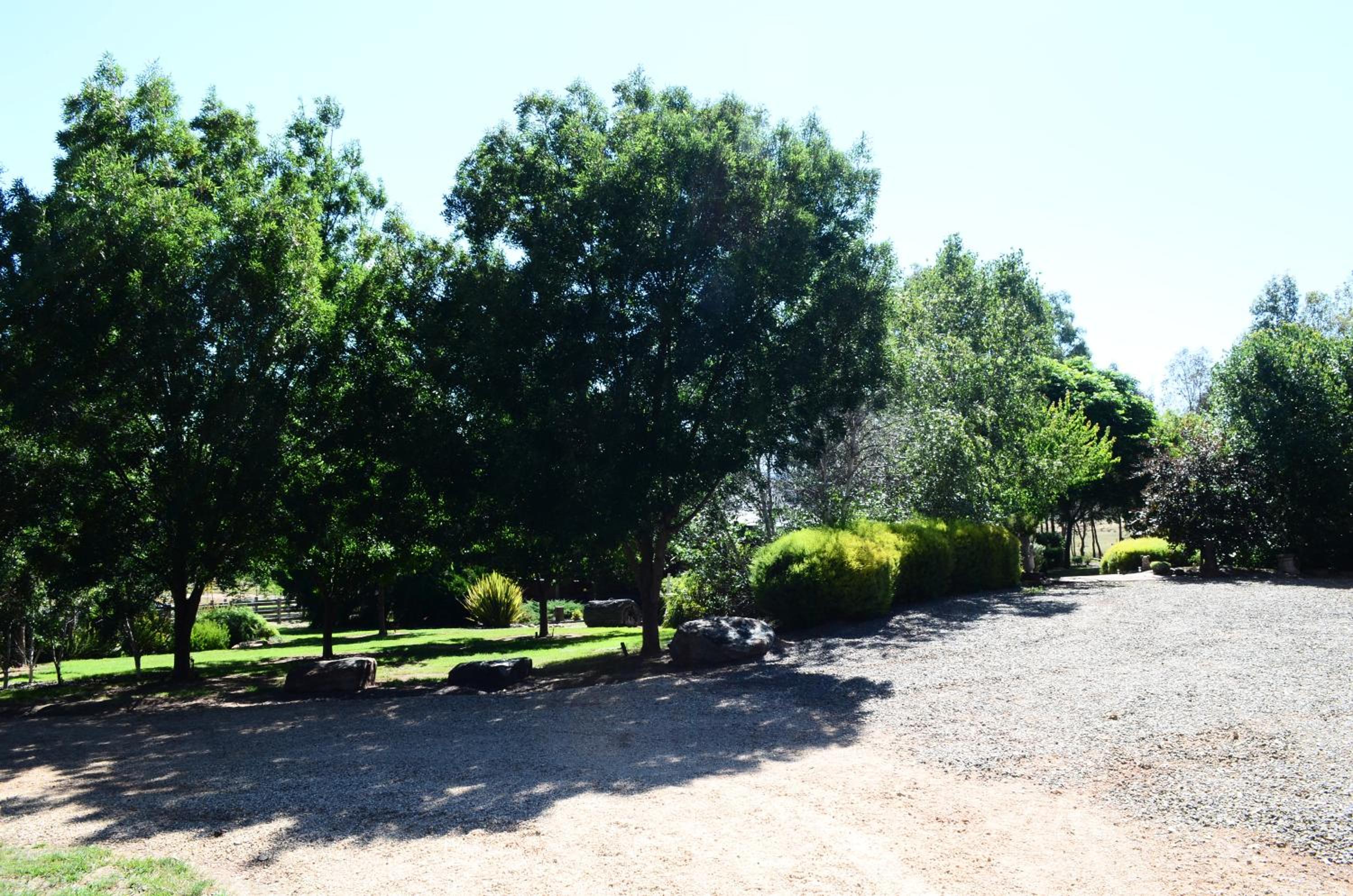 Photo 44