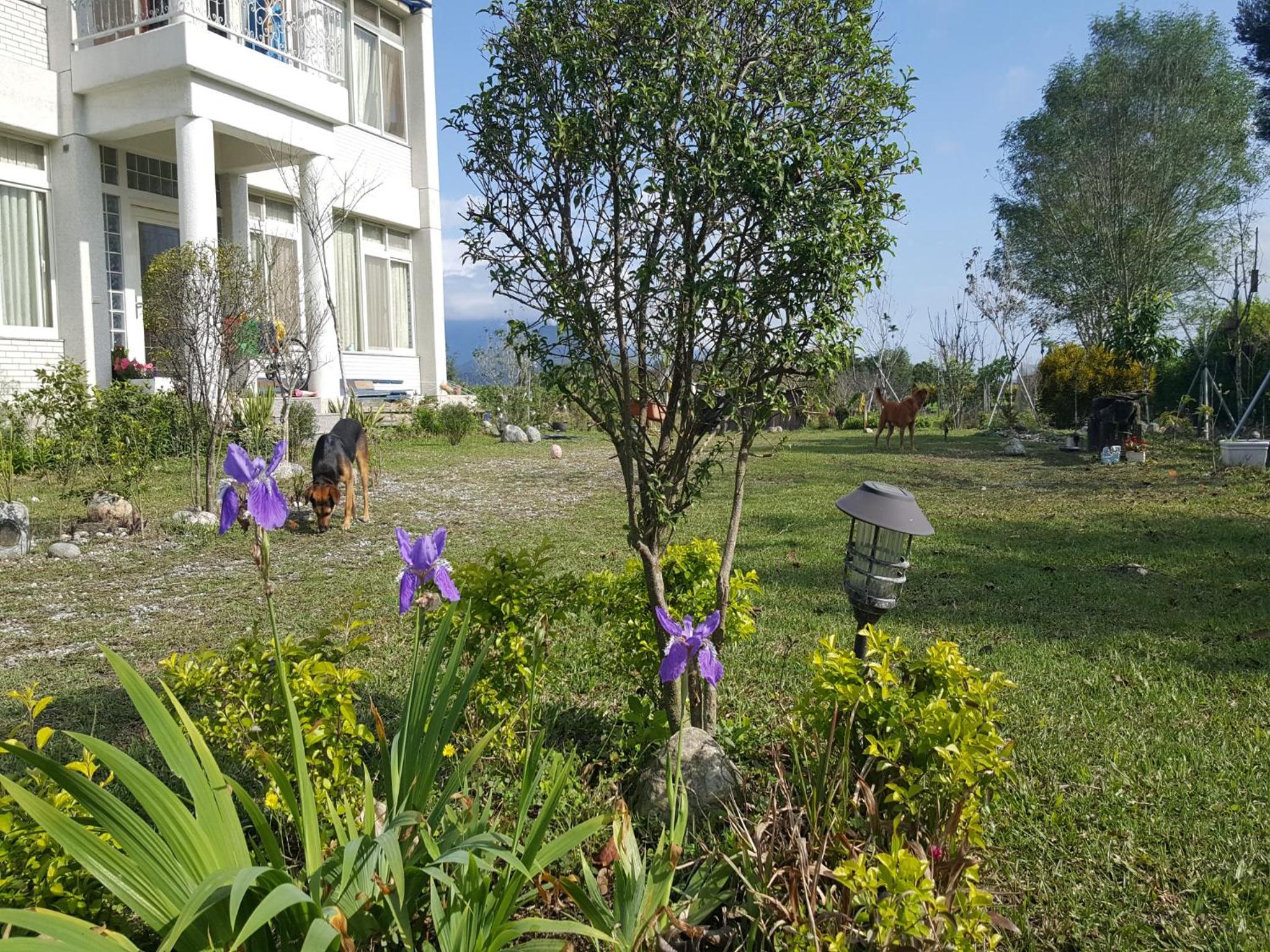 Photo 24