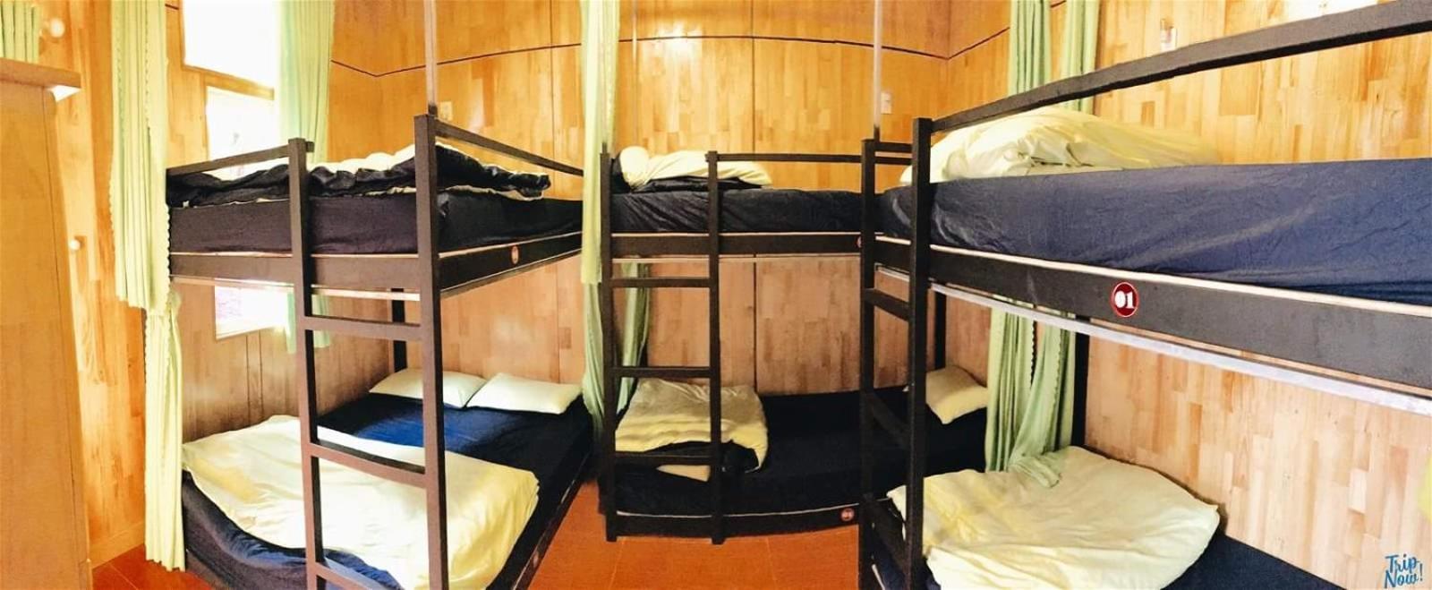 Photo 6