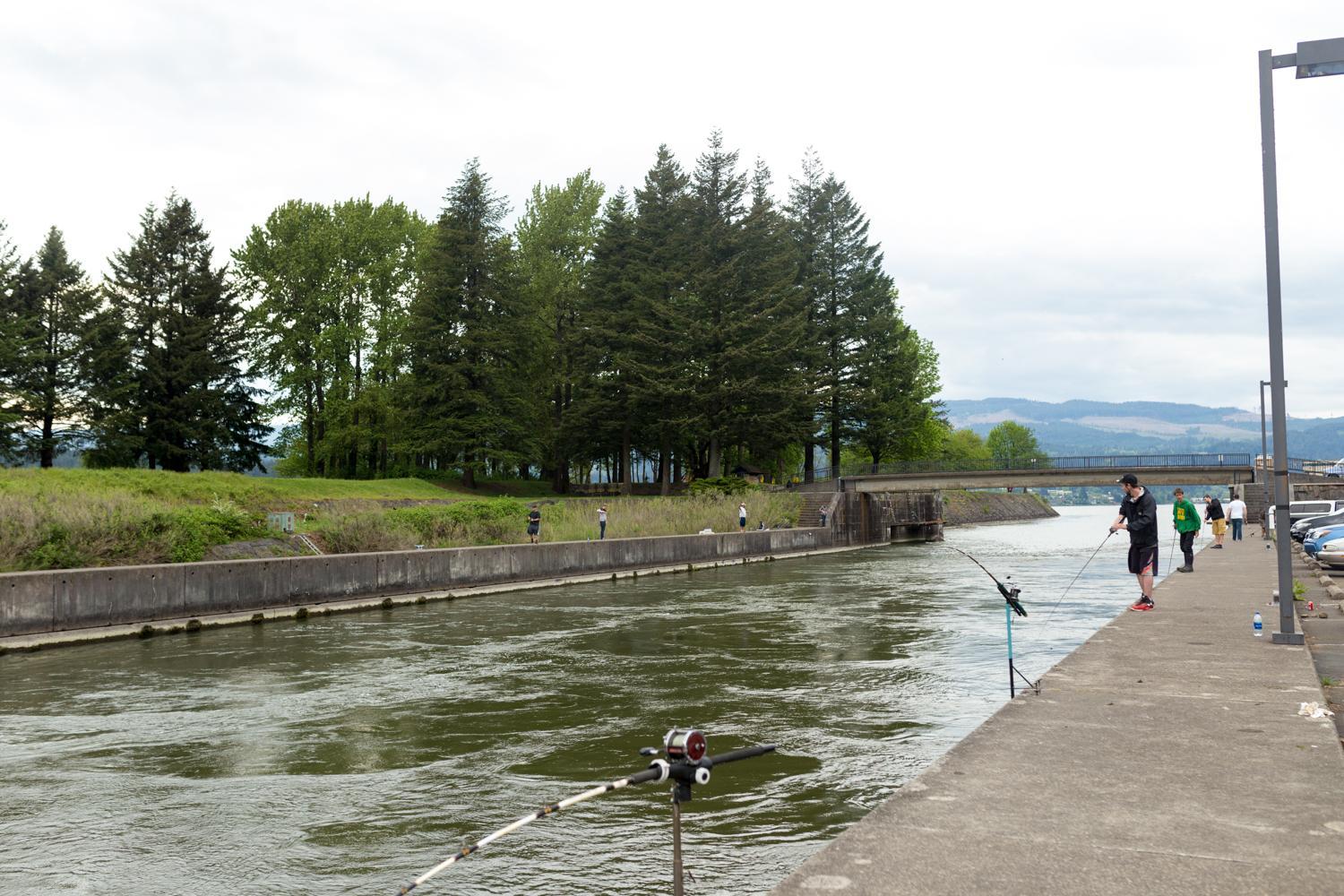 Columbia Gorge Inn view 4