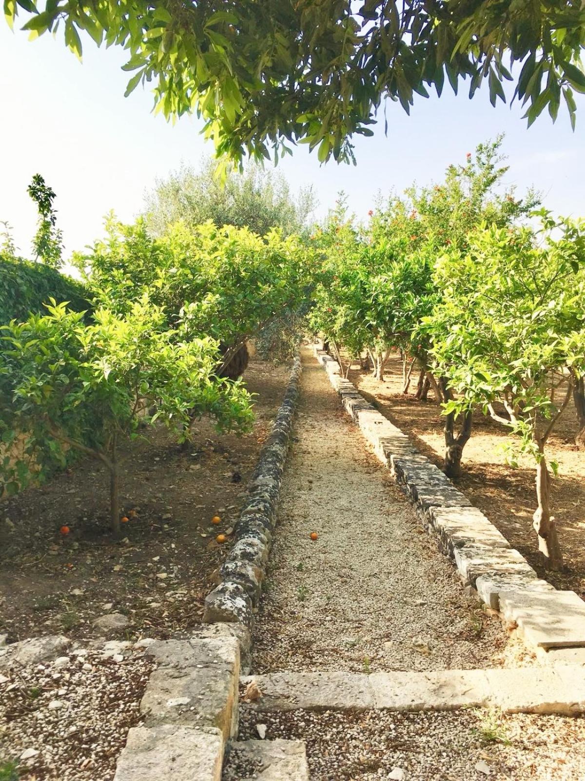Agriturismo Villa Flavia