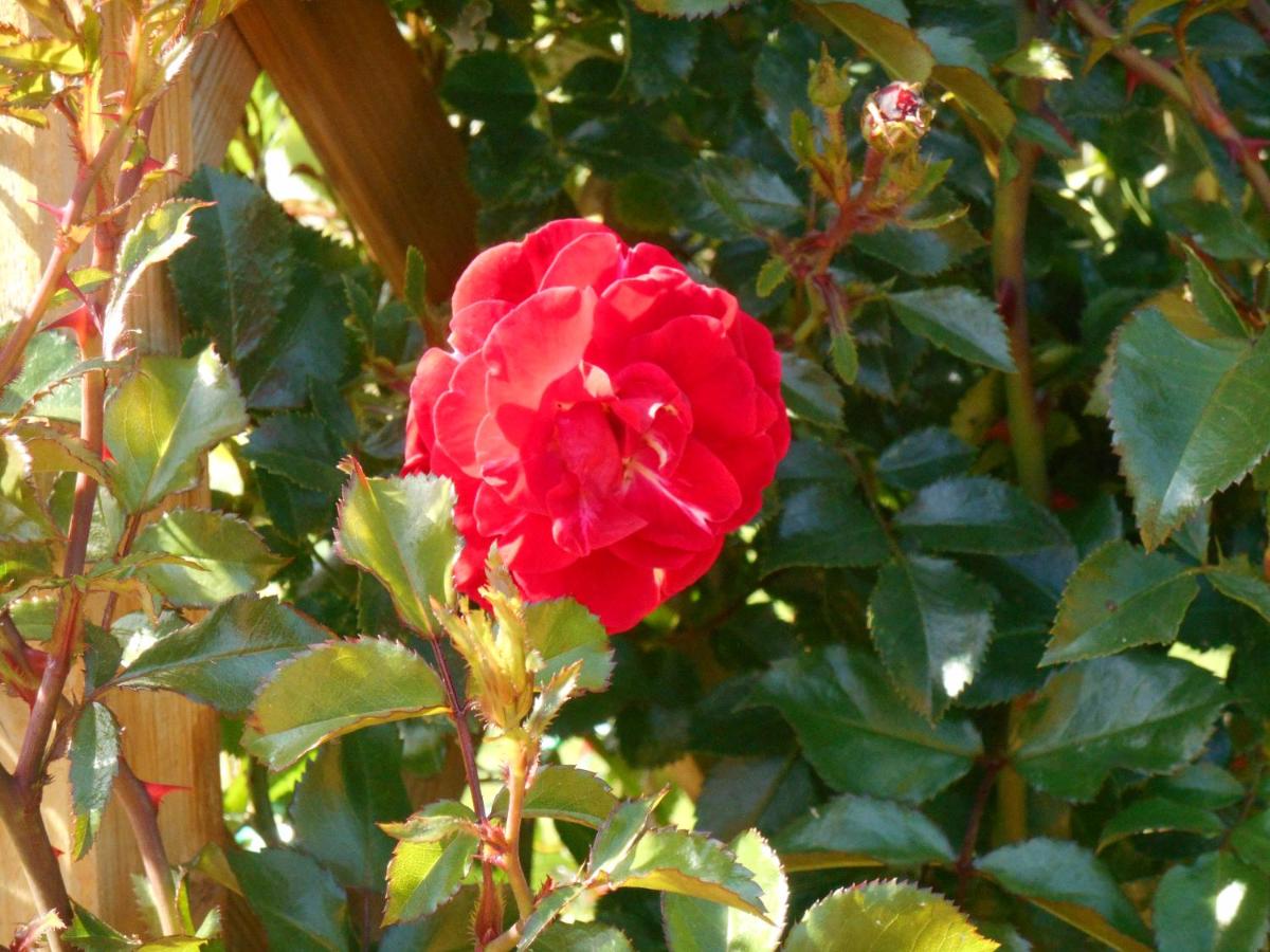 Photo 24
