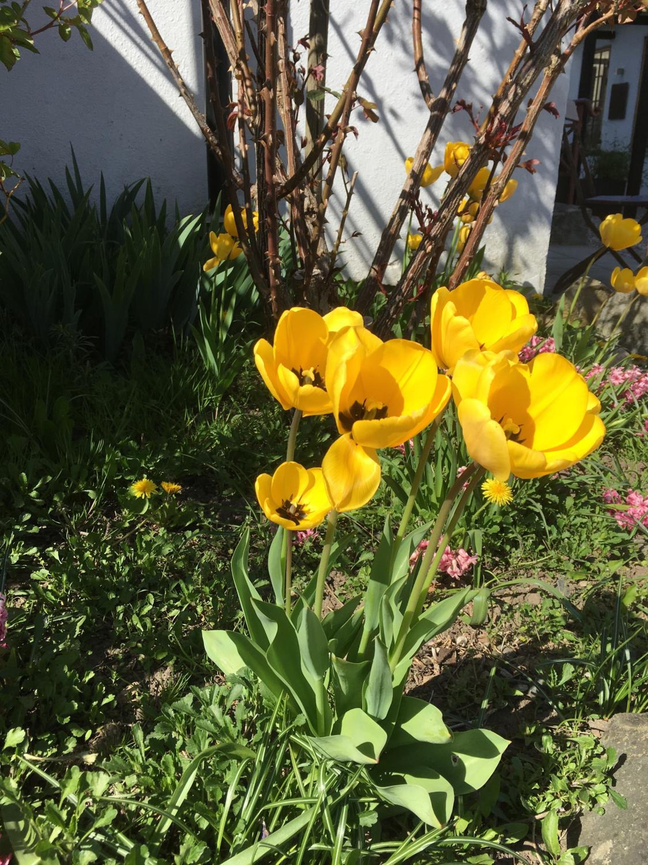 Photo 57