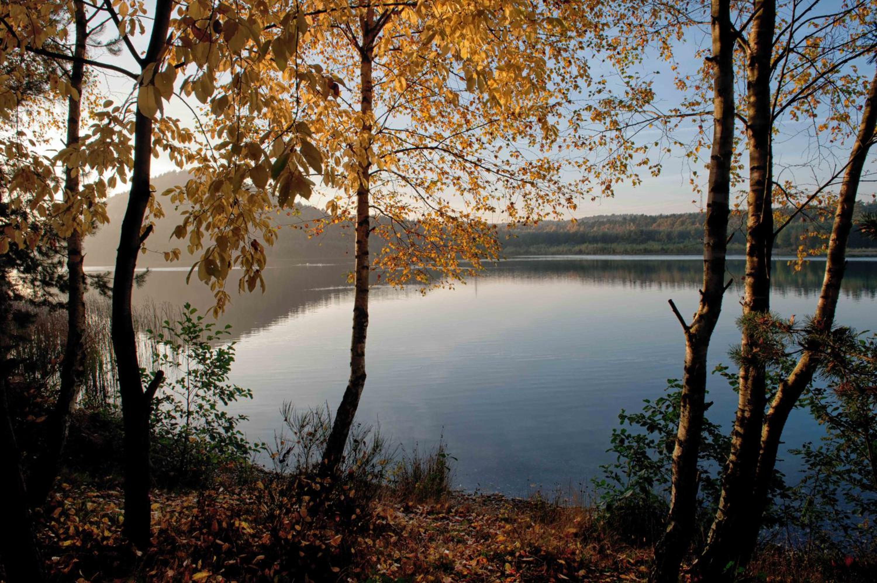 Photo 42