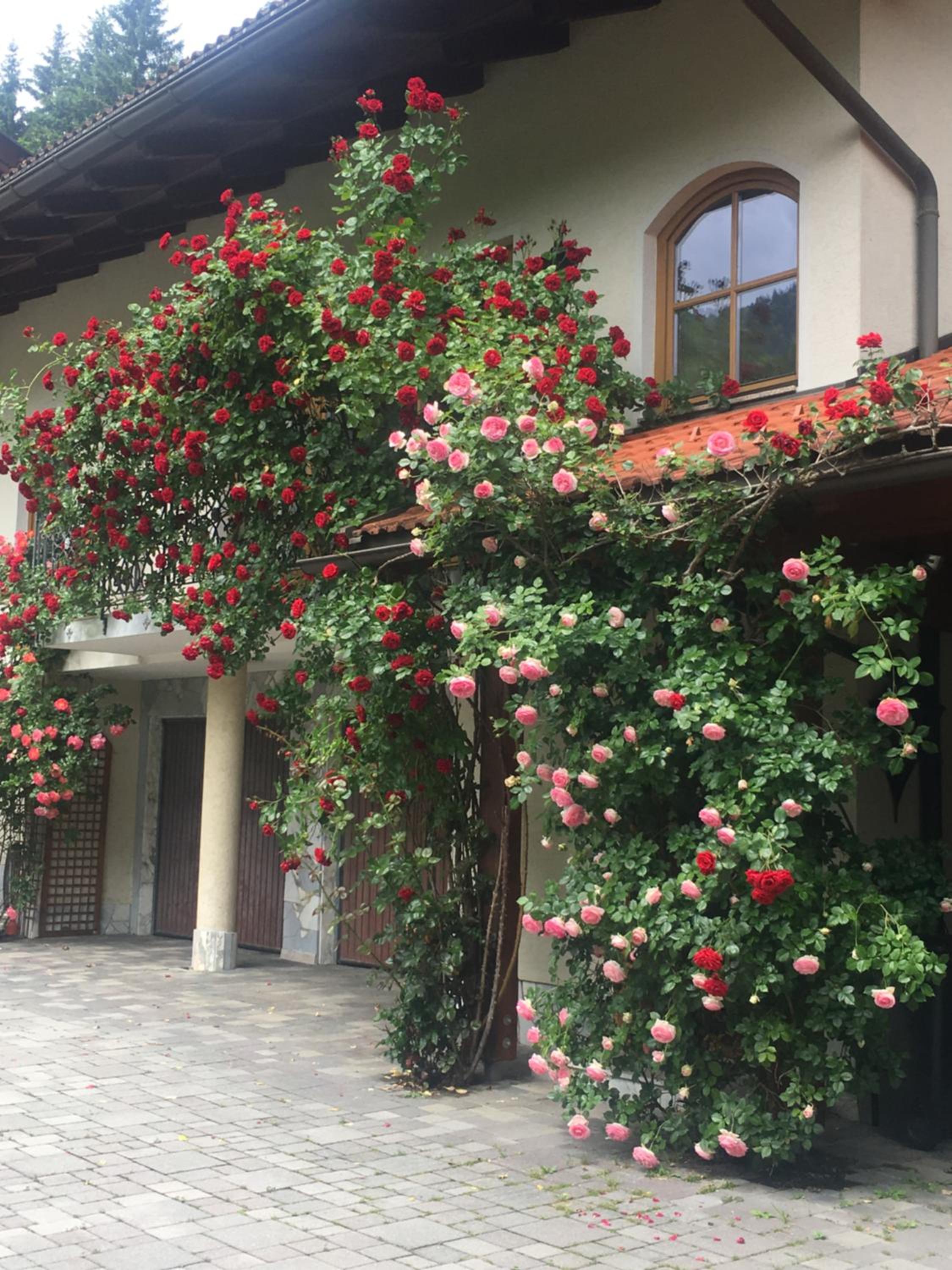 Ferienhaus Kramser