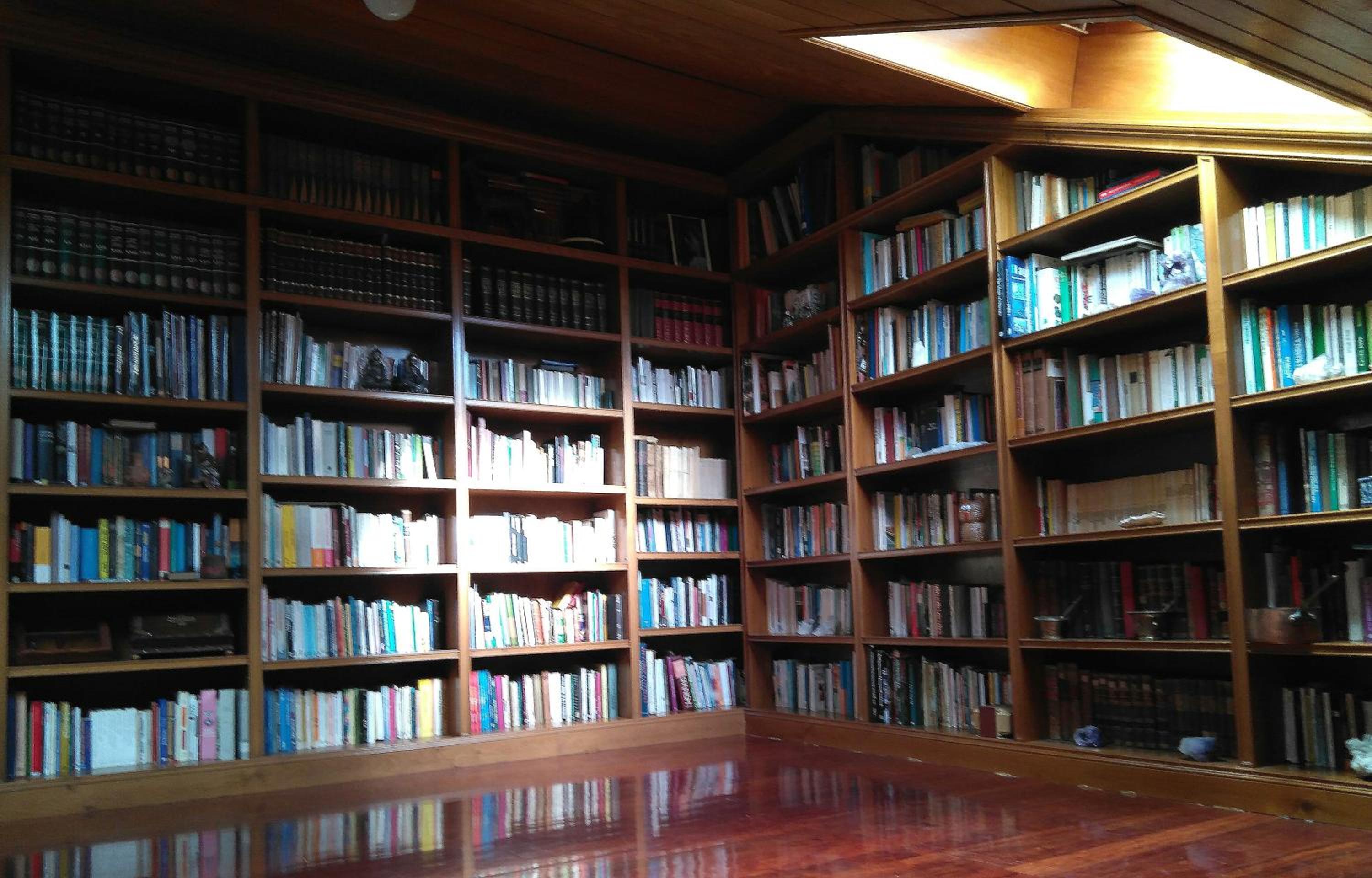 Photo 12