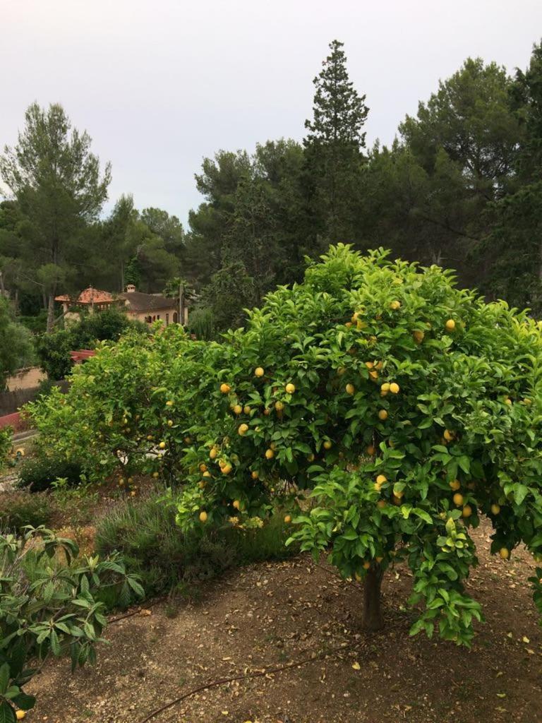 Photo 16