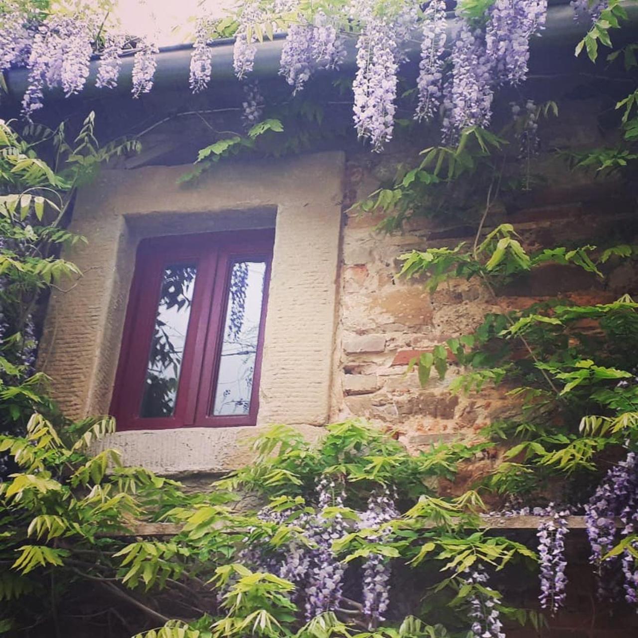 Podere Casina Rossa