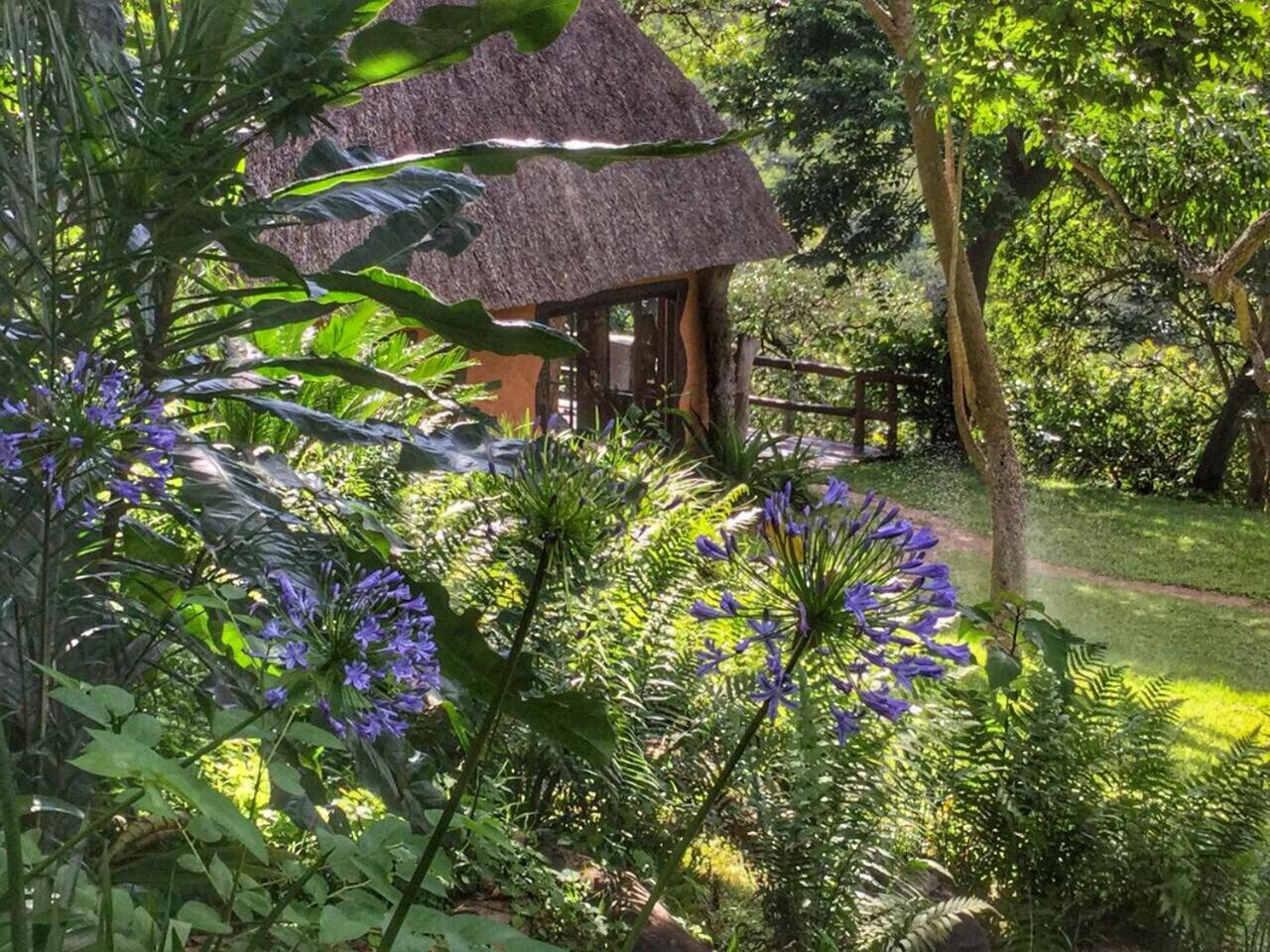 Phophonyane Falls Ecolodge