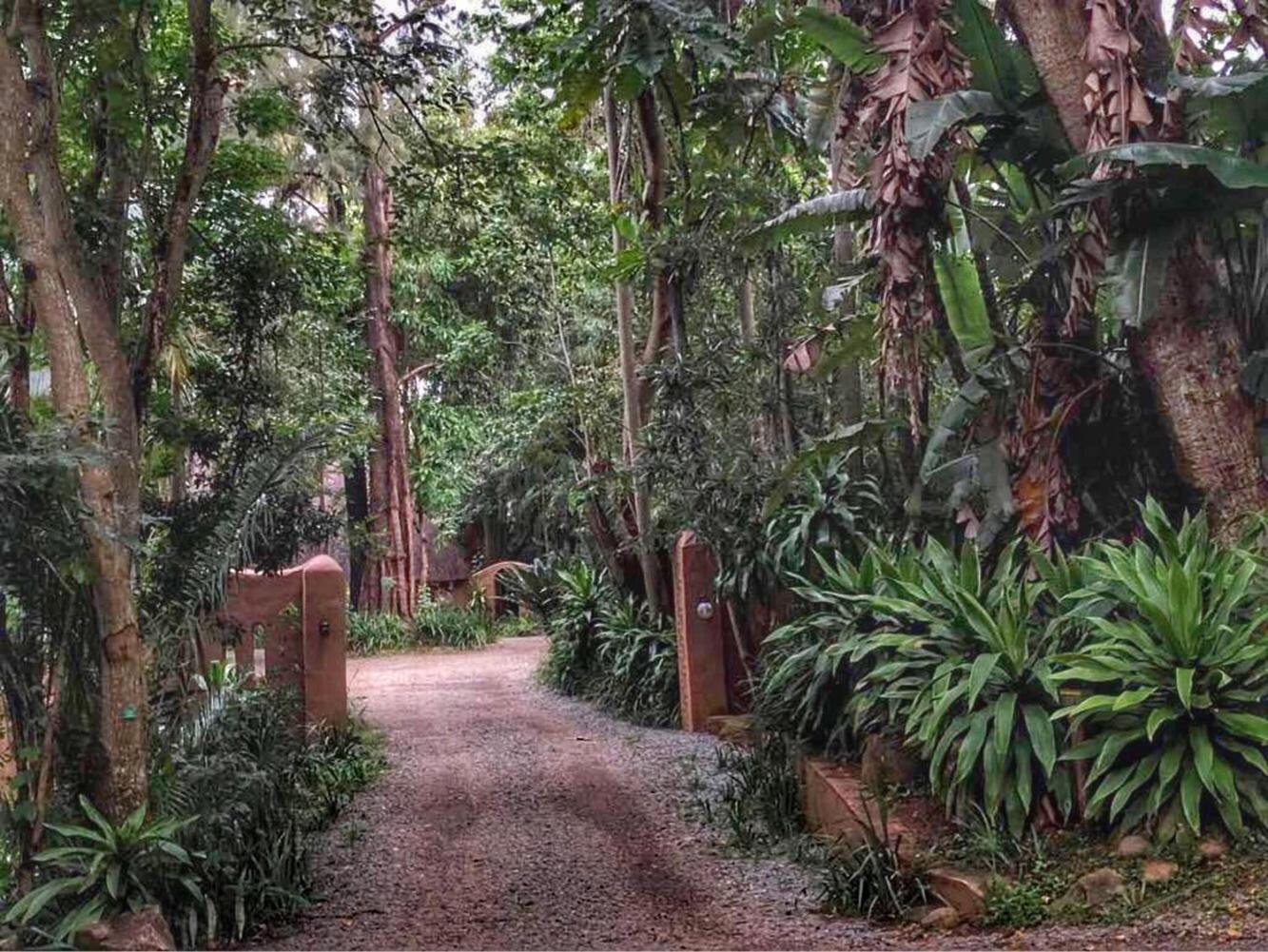 Phophonyane Falls Ecolodge